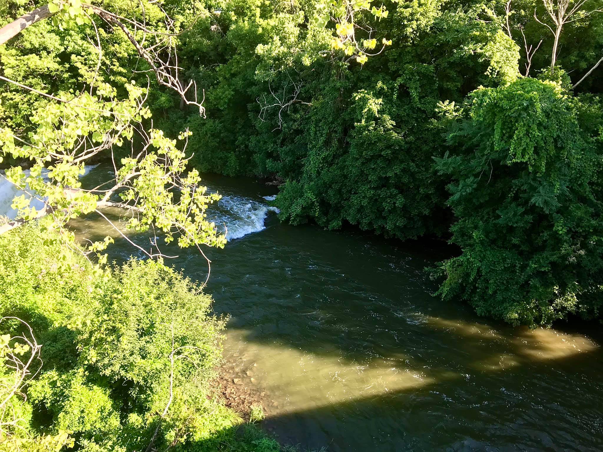 Medina Falls Medina, NY Adventures in New York