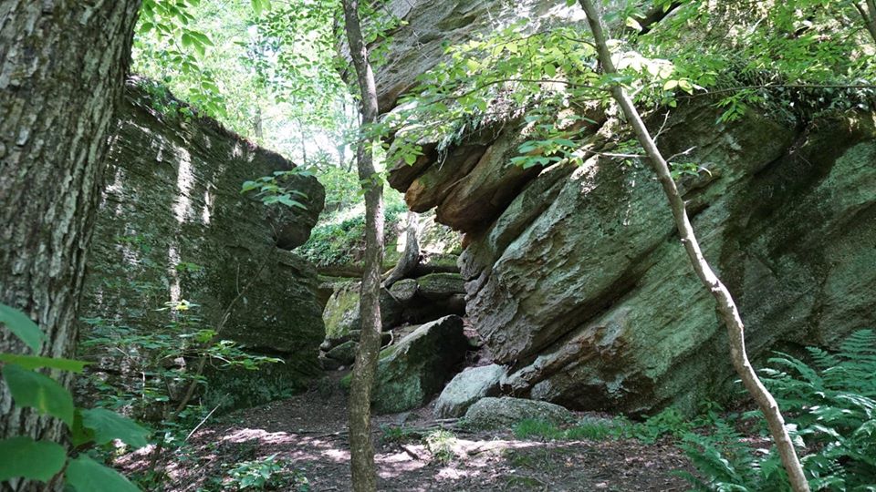 Rock City State Forest Mansfield, NY Adventures in New York