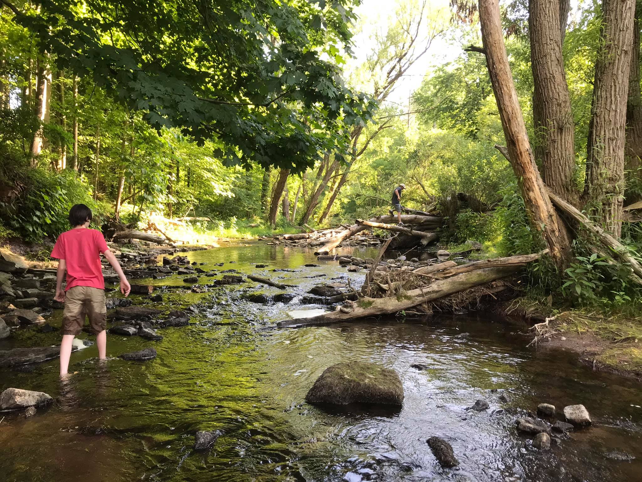Maxwell Creek Sodus Point, NY Adventures in New York
