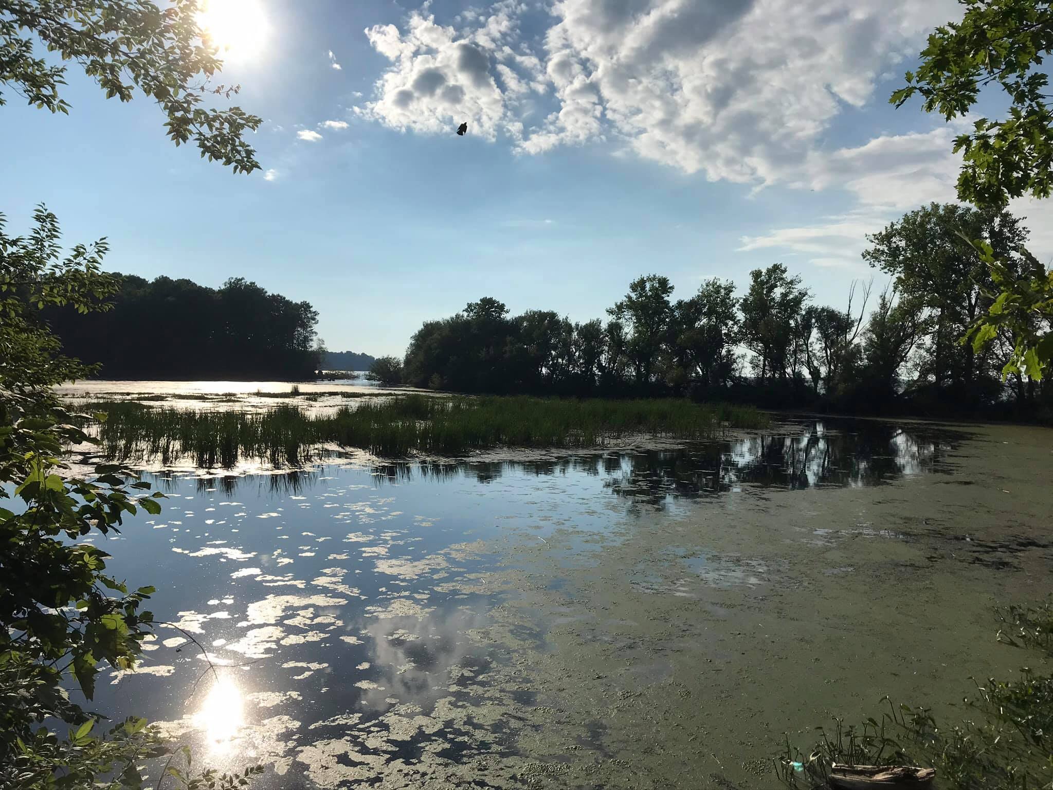Maxwell Creek Sodus Point, NY Adventures in New York