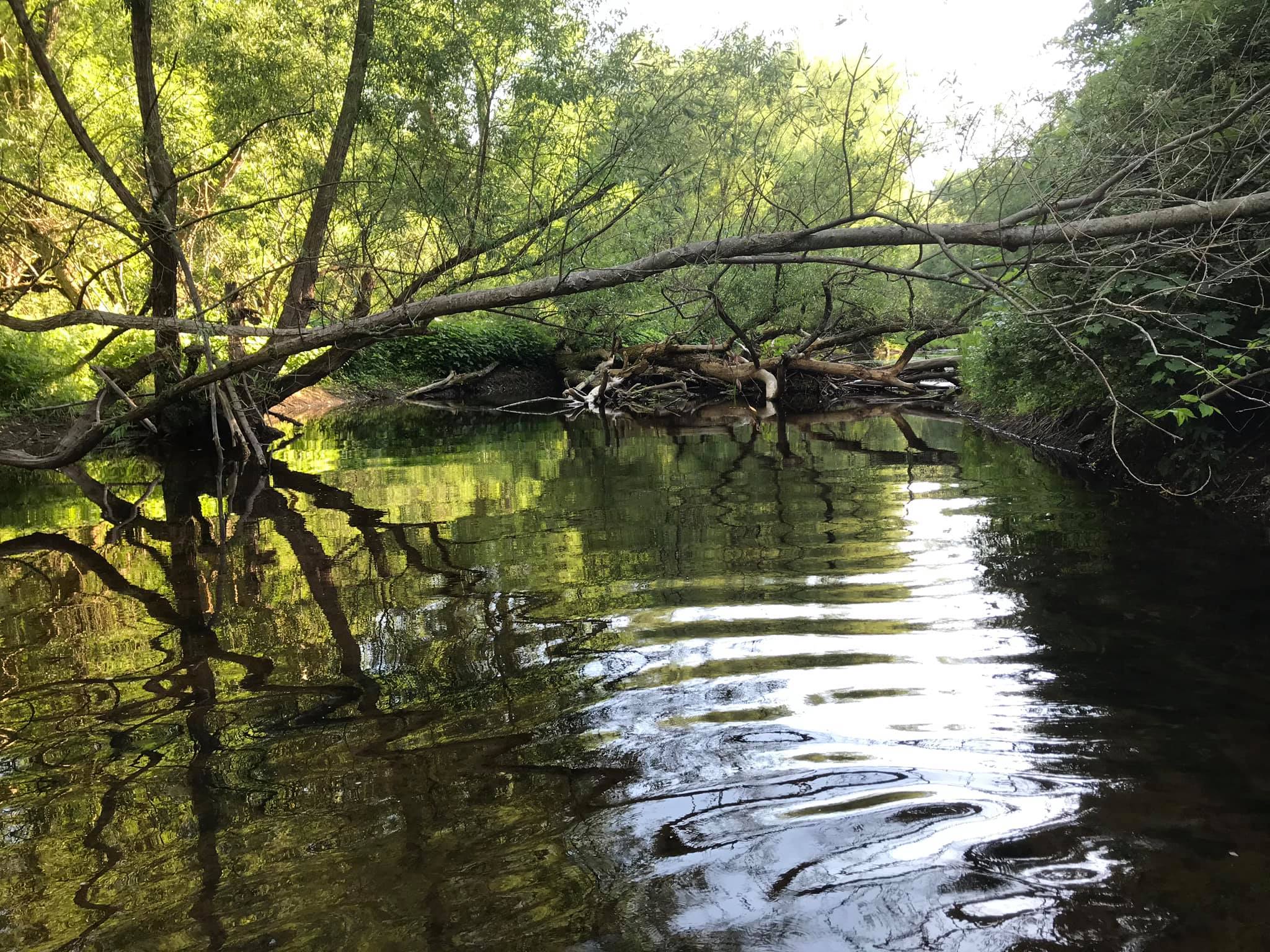 Maxwell Creek Sodus Point, NY Adventures in New York