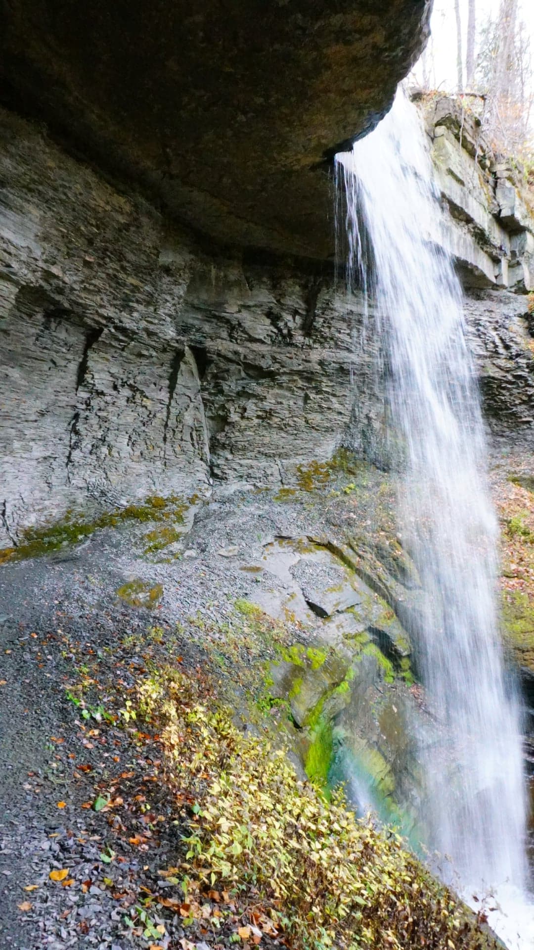Carpenter Falls and Bahar Nature Preserve Skaneateles, NY