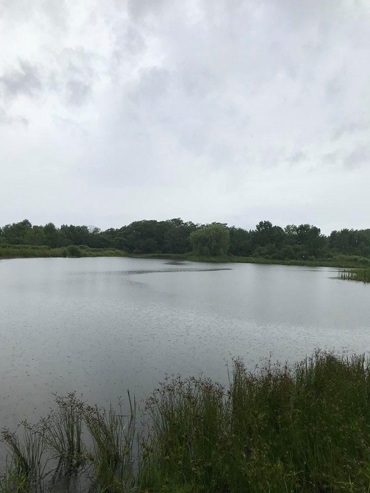 Finger Lakes National Forest Hector, NY Adventures in New York