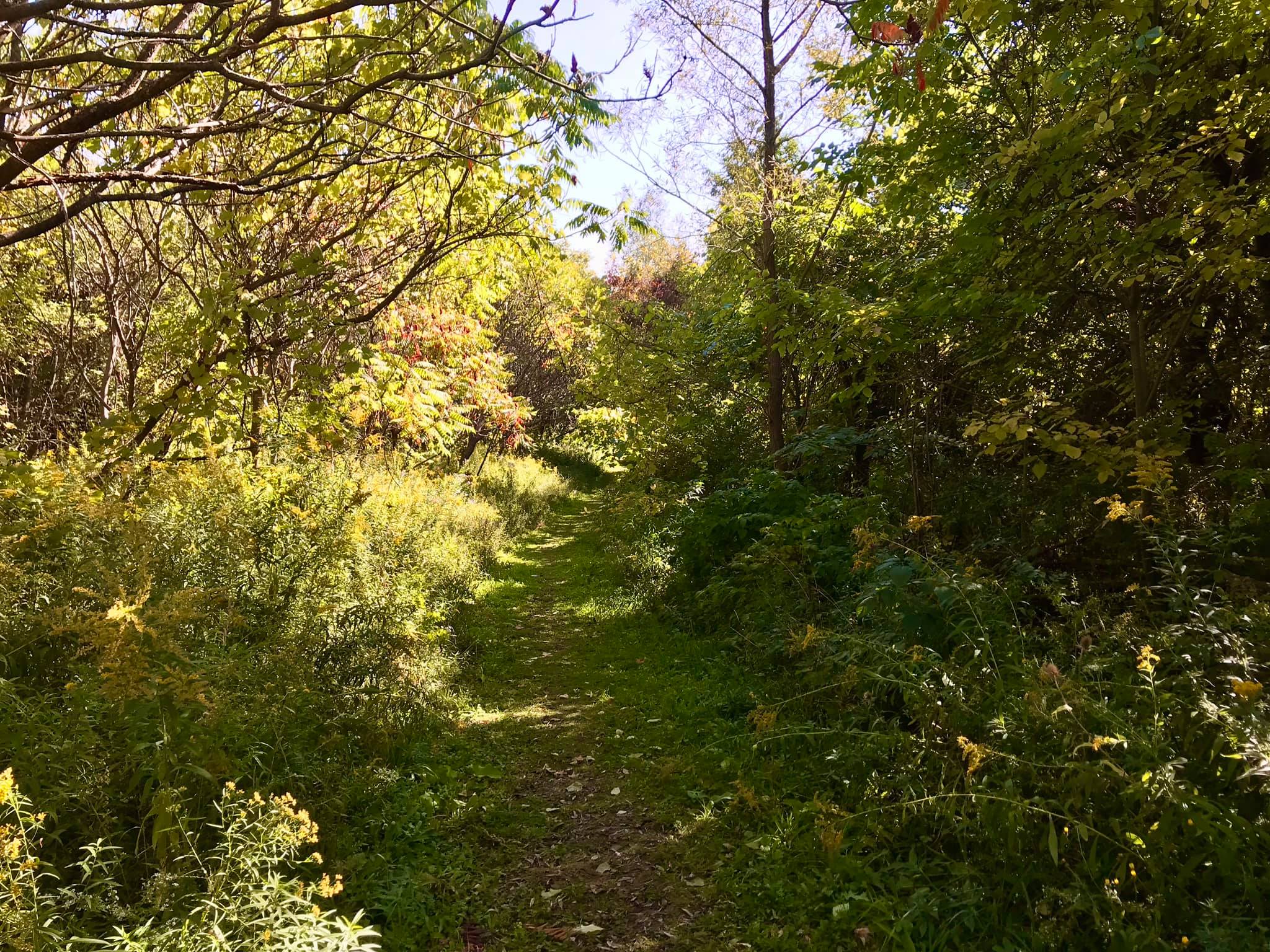 Otisco Lake Preserve Skaneateles, NY Adventures in New York