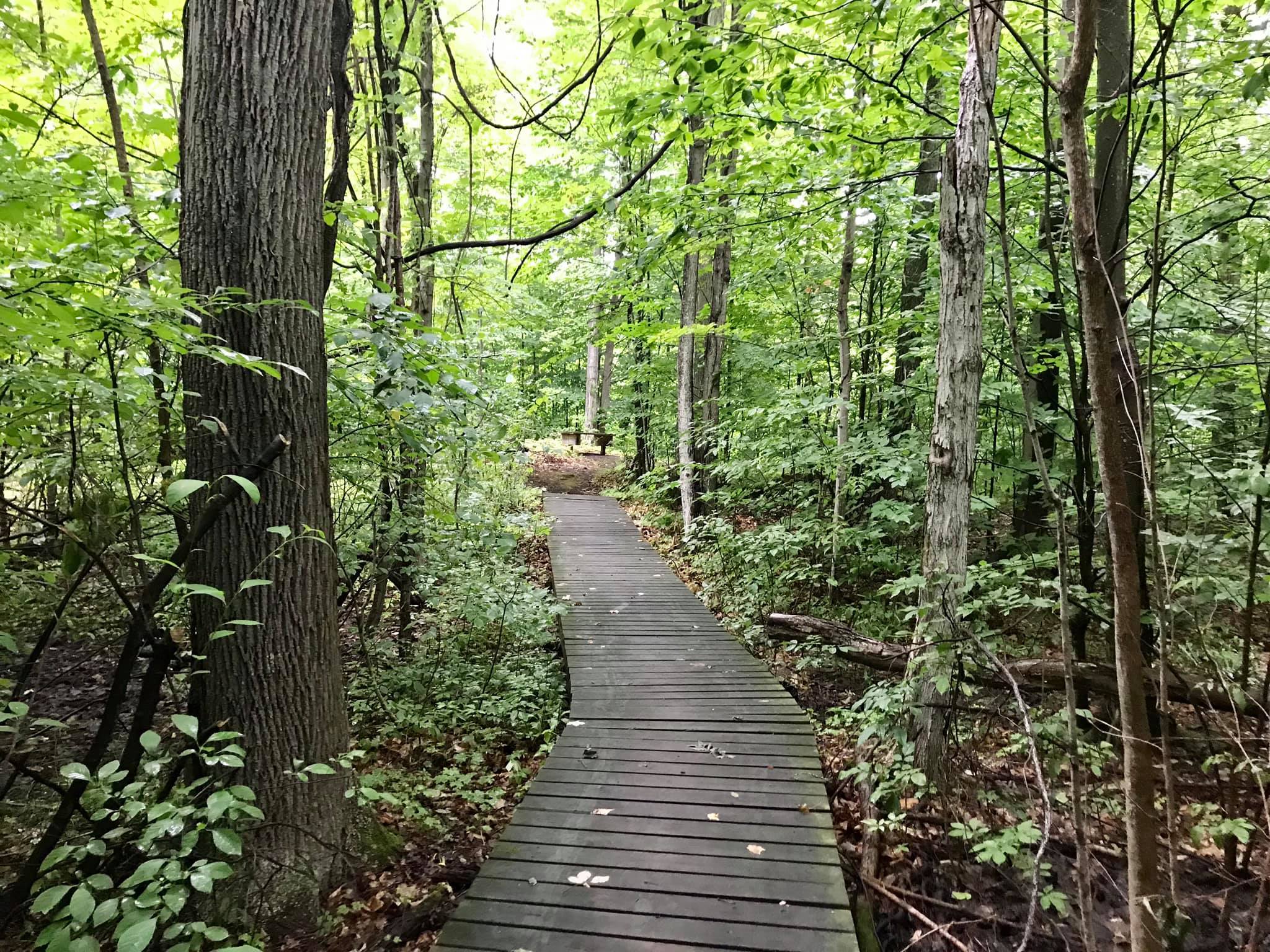 Bicentennial Trail Pultneyville, NY Adventures in New York