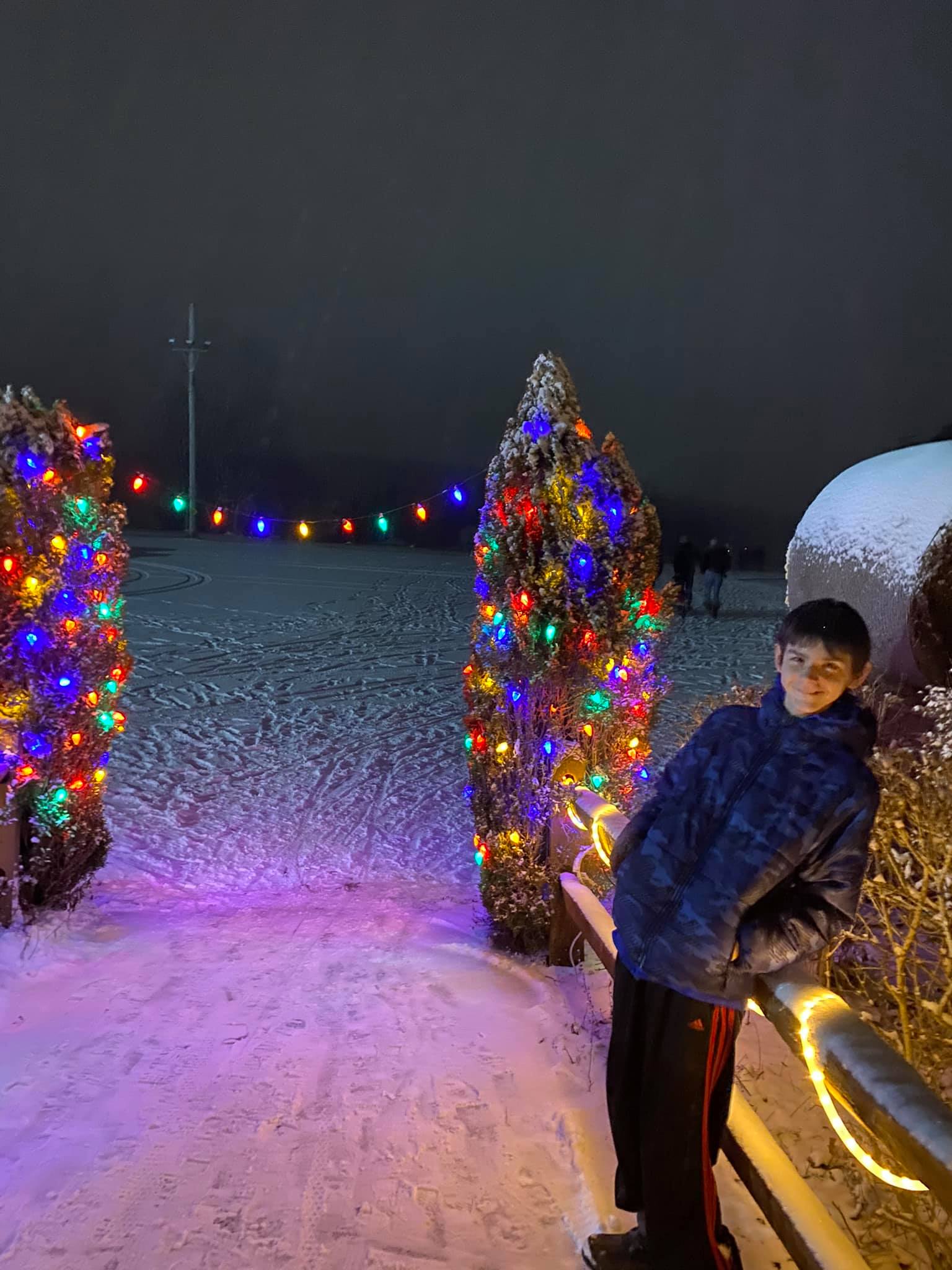 Winter Festival of Lights Macedon, NY Adventures in New York