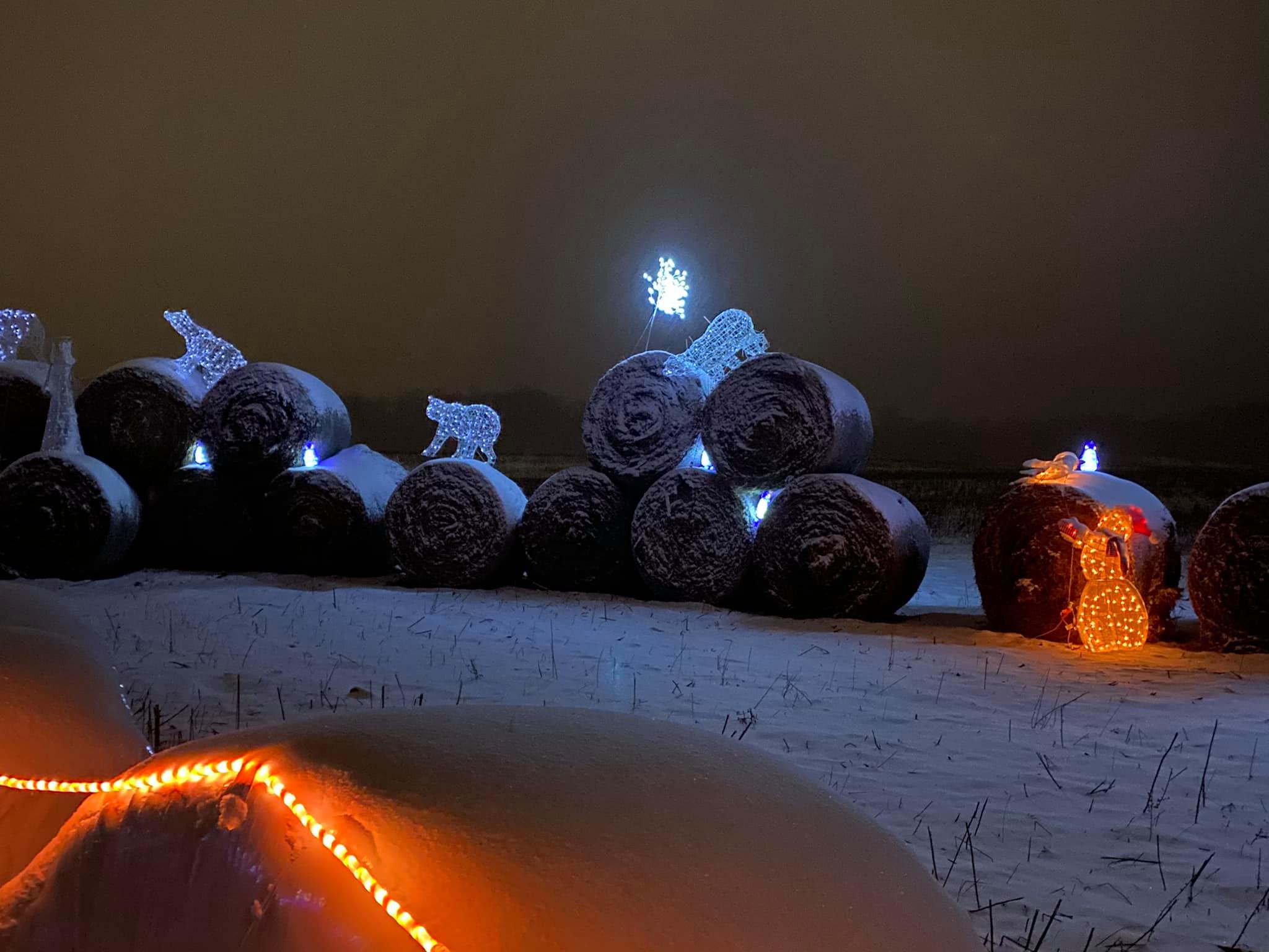 Winter Festival of Lights Macedon, NY Adventures in New York