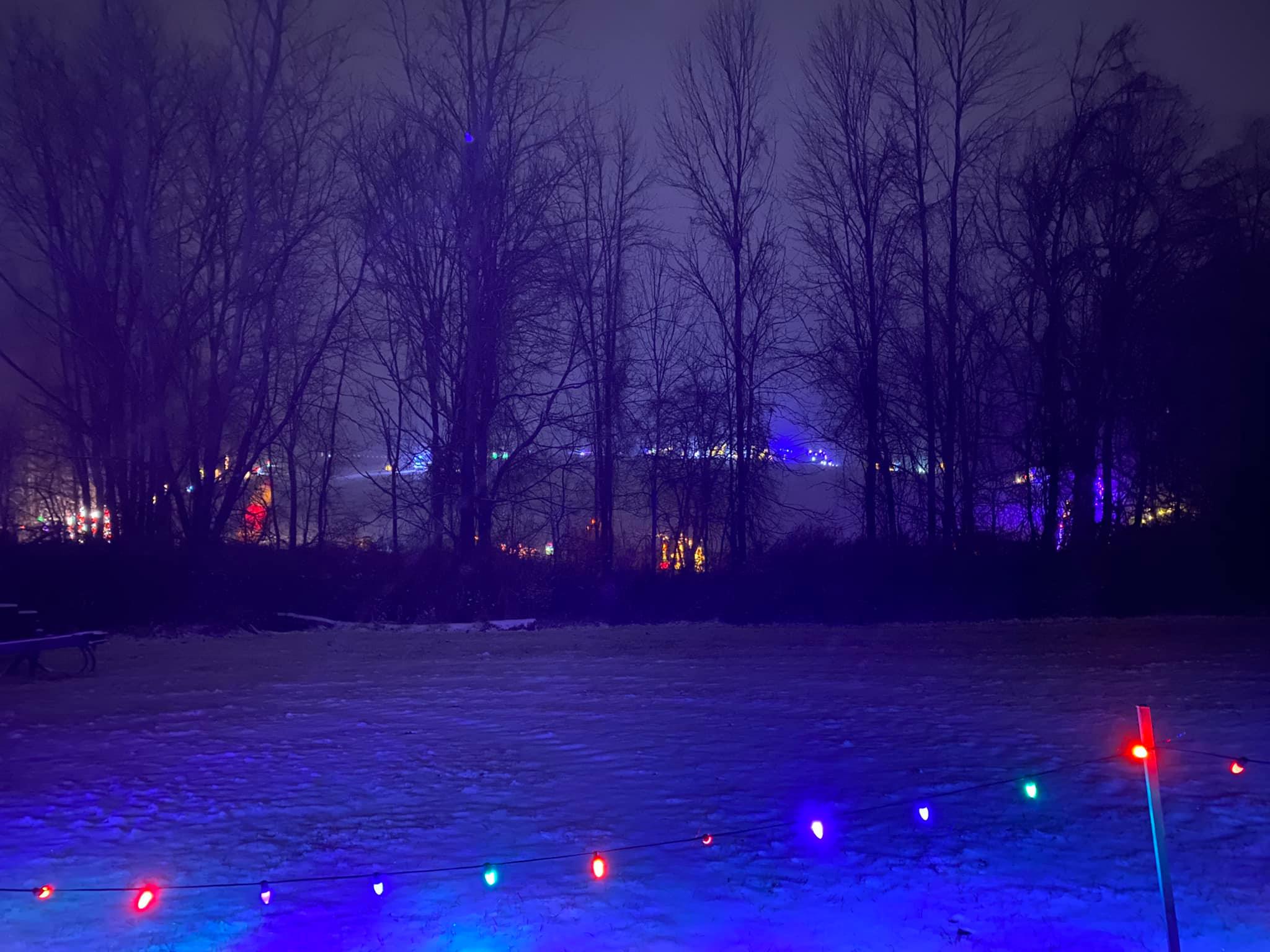 Winter Festival of Lights Macedon, NY Adventures in New York