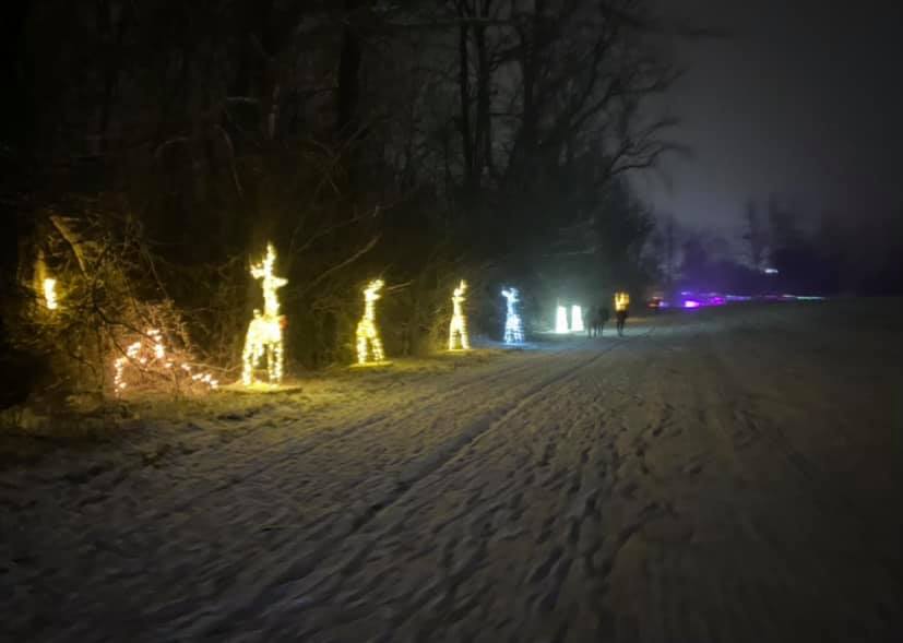 Winter Festival of Lights Macedon, NY Adventures in New York