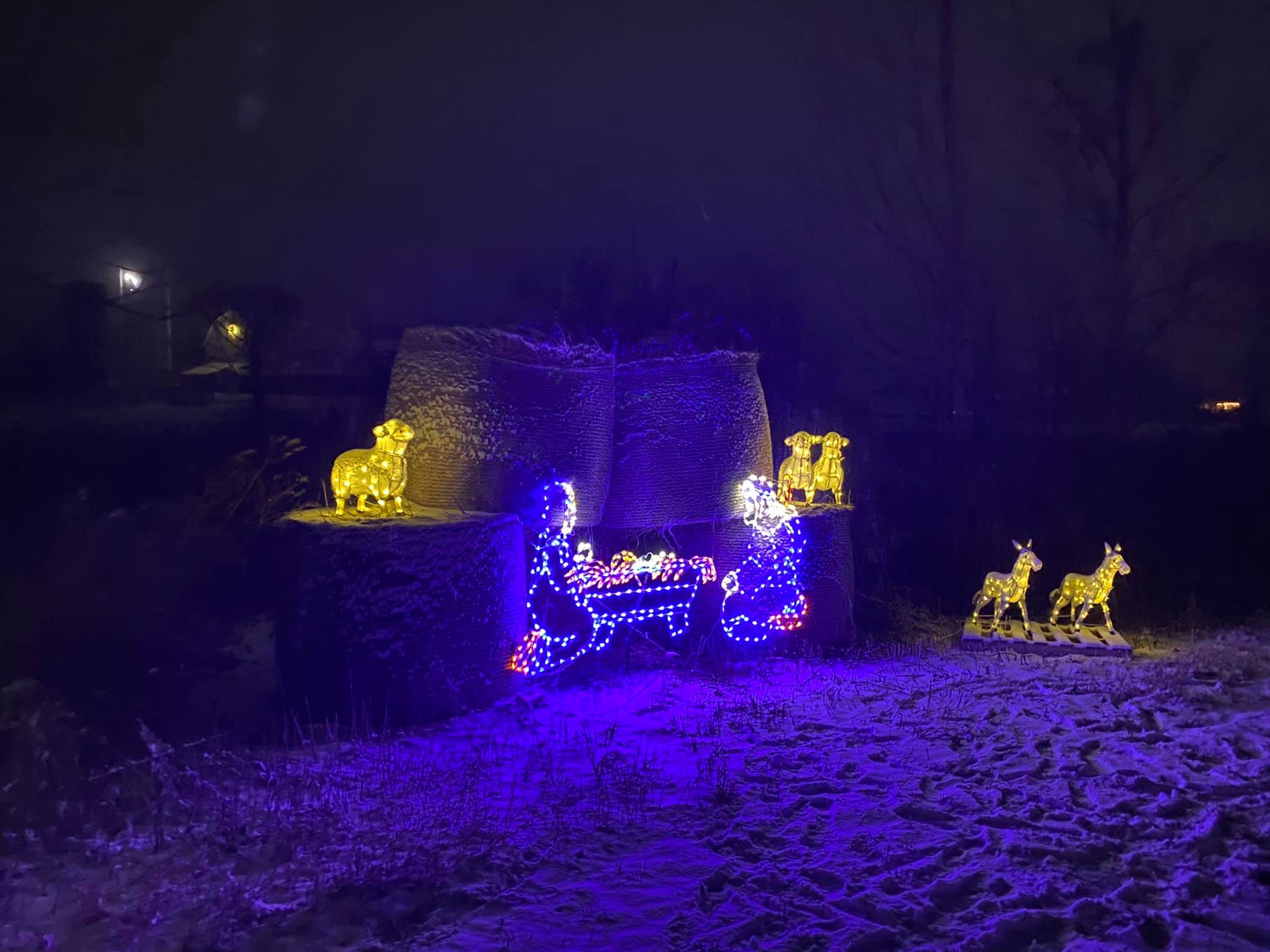 Winter Festival of Lights Macedon, NY Adventures in New York