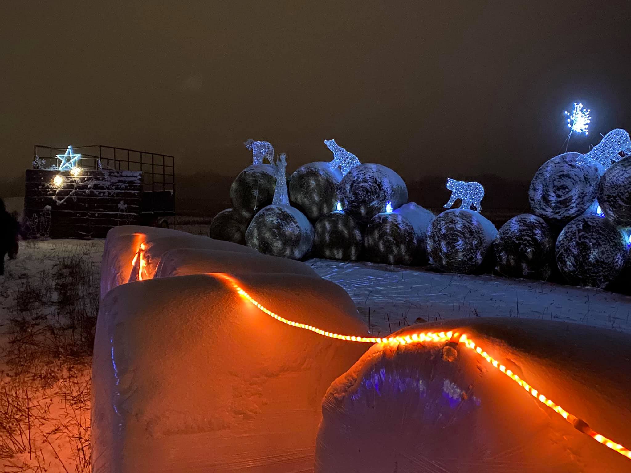 Winter Festival of Lights Macedon, NY Adventures in New York