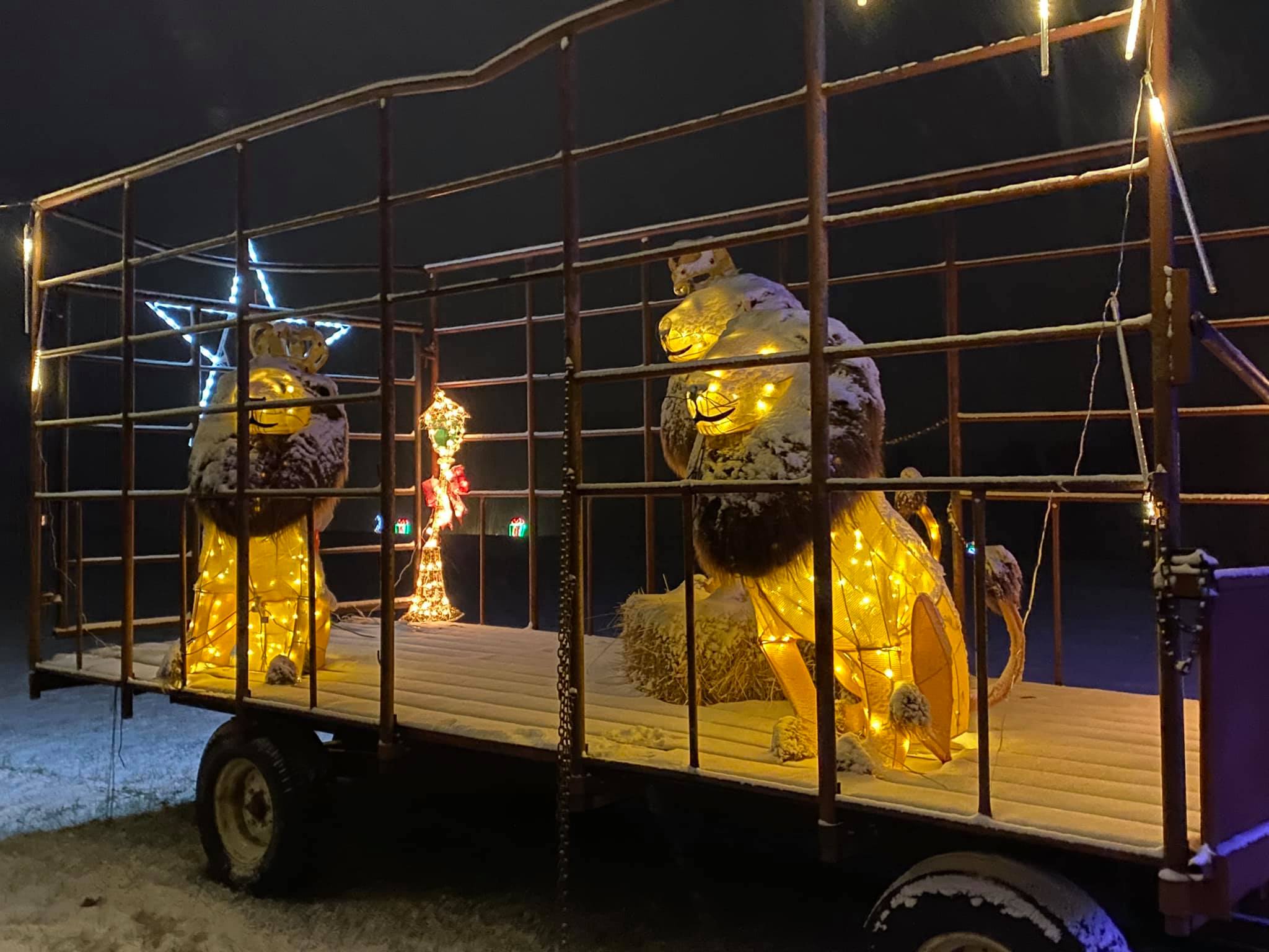 Winter Festival of Lights Macedon, NY Adventures in New York