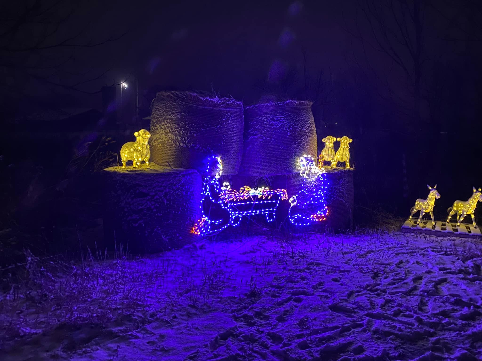 Winter Festival of Lights Macedon, NY Adventures in New York