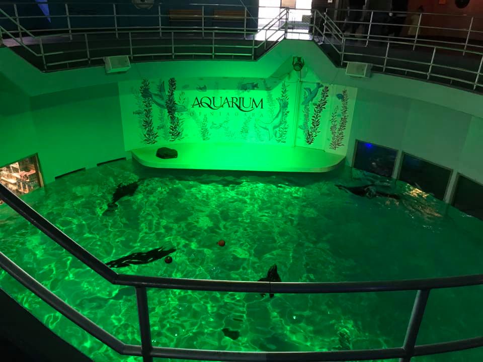 Aquarium of Niagara Niagara Falls, New York Adventures in New York