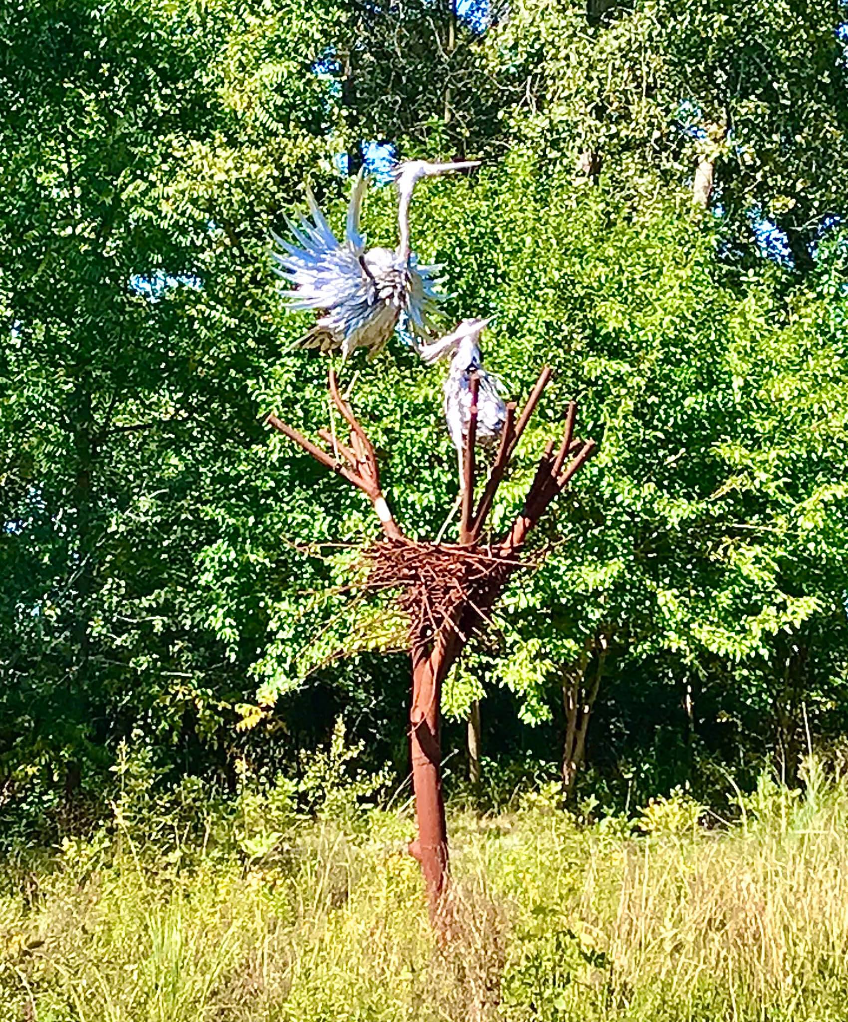 Montezuma National Wildlife Refuge Seneca Falls, NY Adventures in