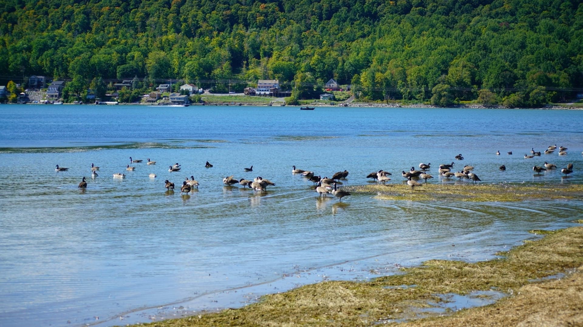 Otisco Lake Park Otisco Valley, NY Adventures in New York