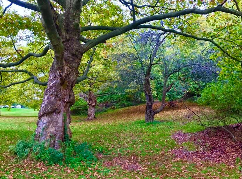 ster Park and Pier ster, NY Adventures in New York