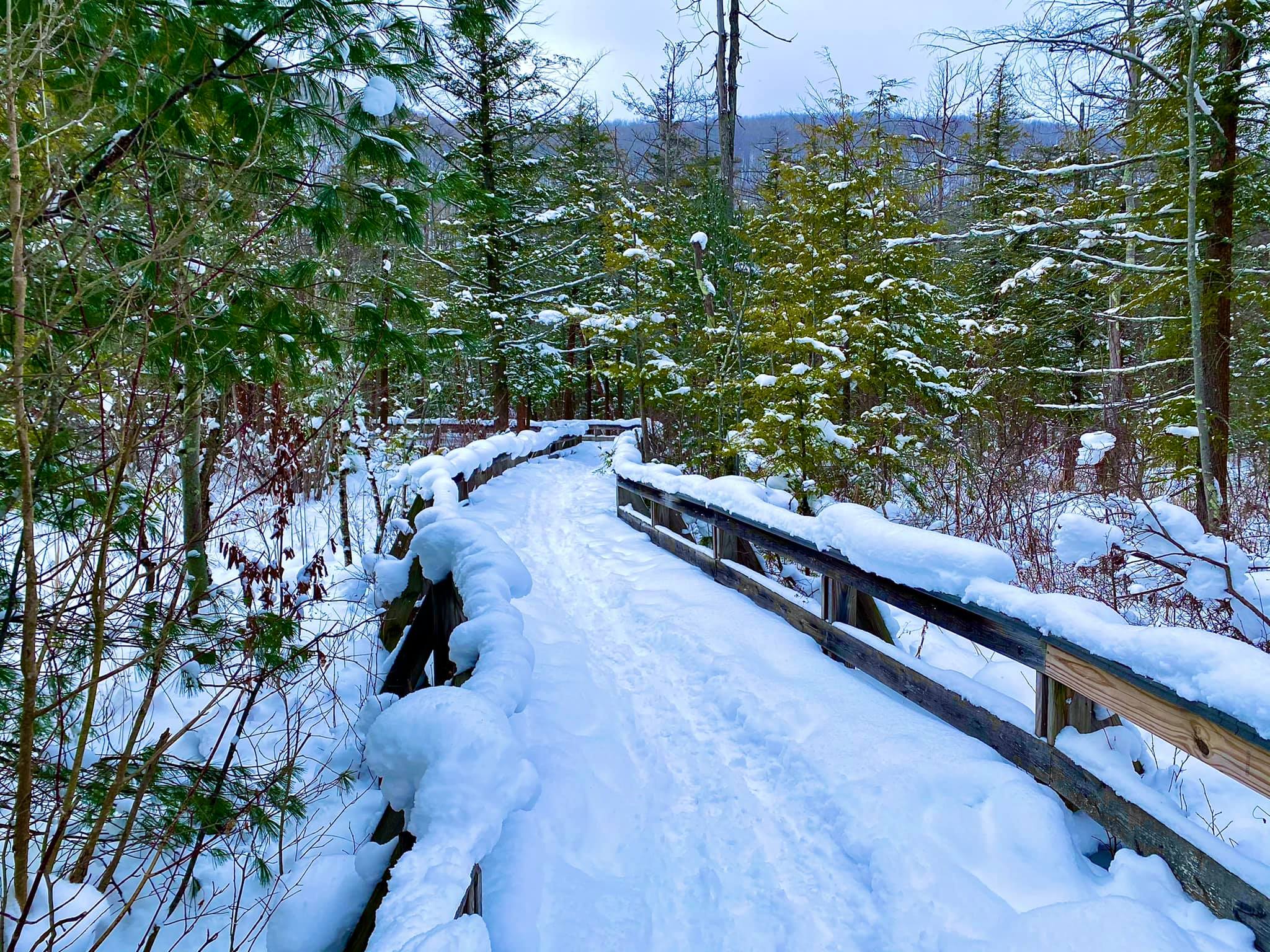 Labrador Hollow Unique Area Tully, NY Adventures in New York