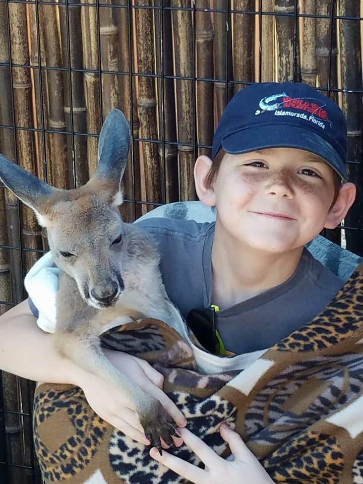 Best Animal Encounters in New York State Adventures in New York