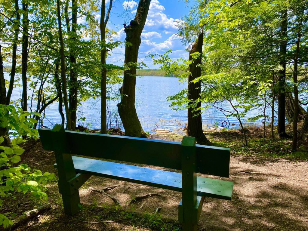 Beaver Lake Nature Center Baldwinsville, NY Adventures in New York