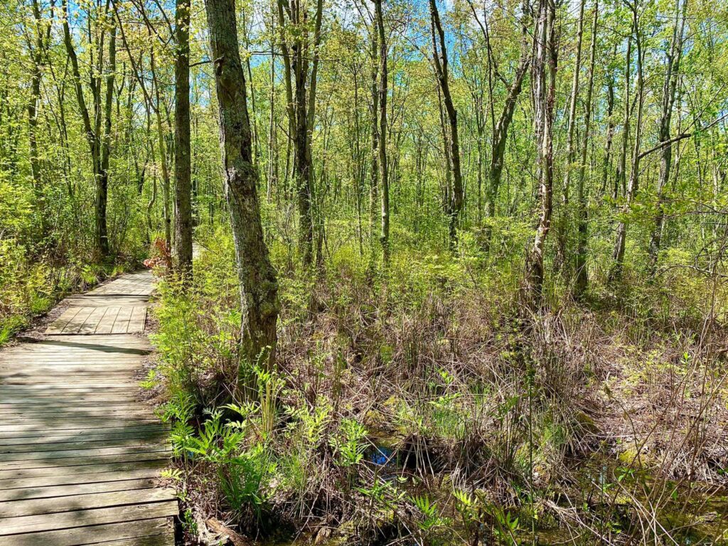 Beaver Lake Nature Center Baldwinsville, NY Adventures in New York