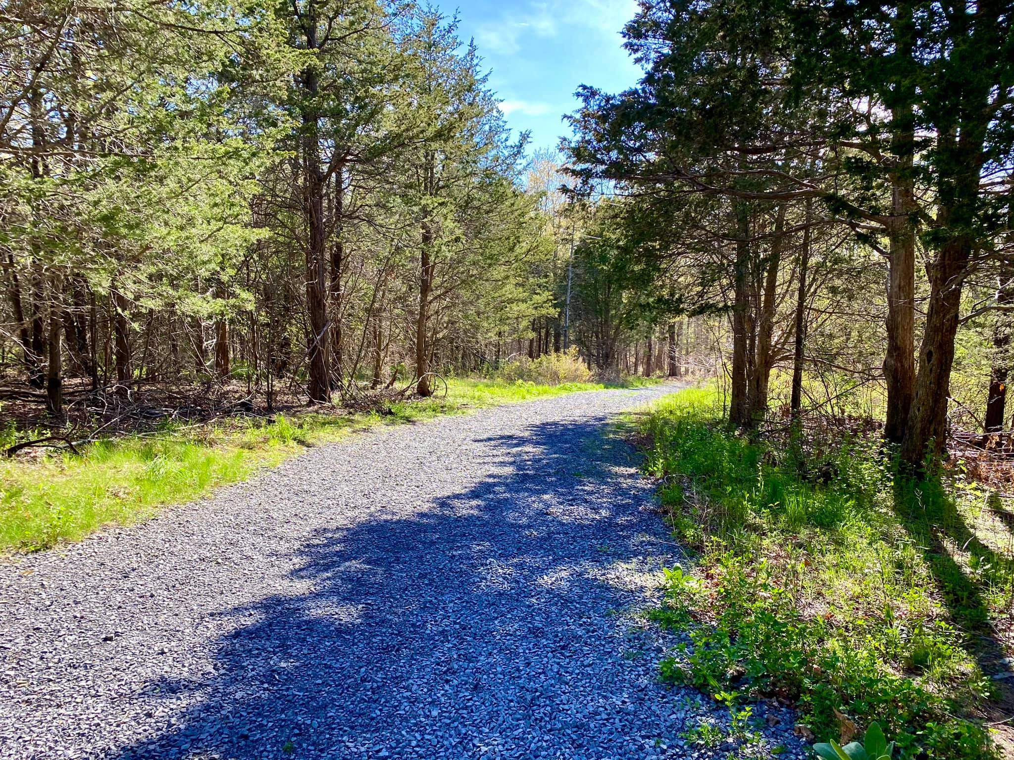 Caywood Point Finger Lakes National Forest Hector, NY Adventures