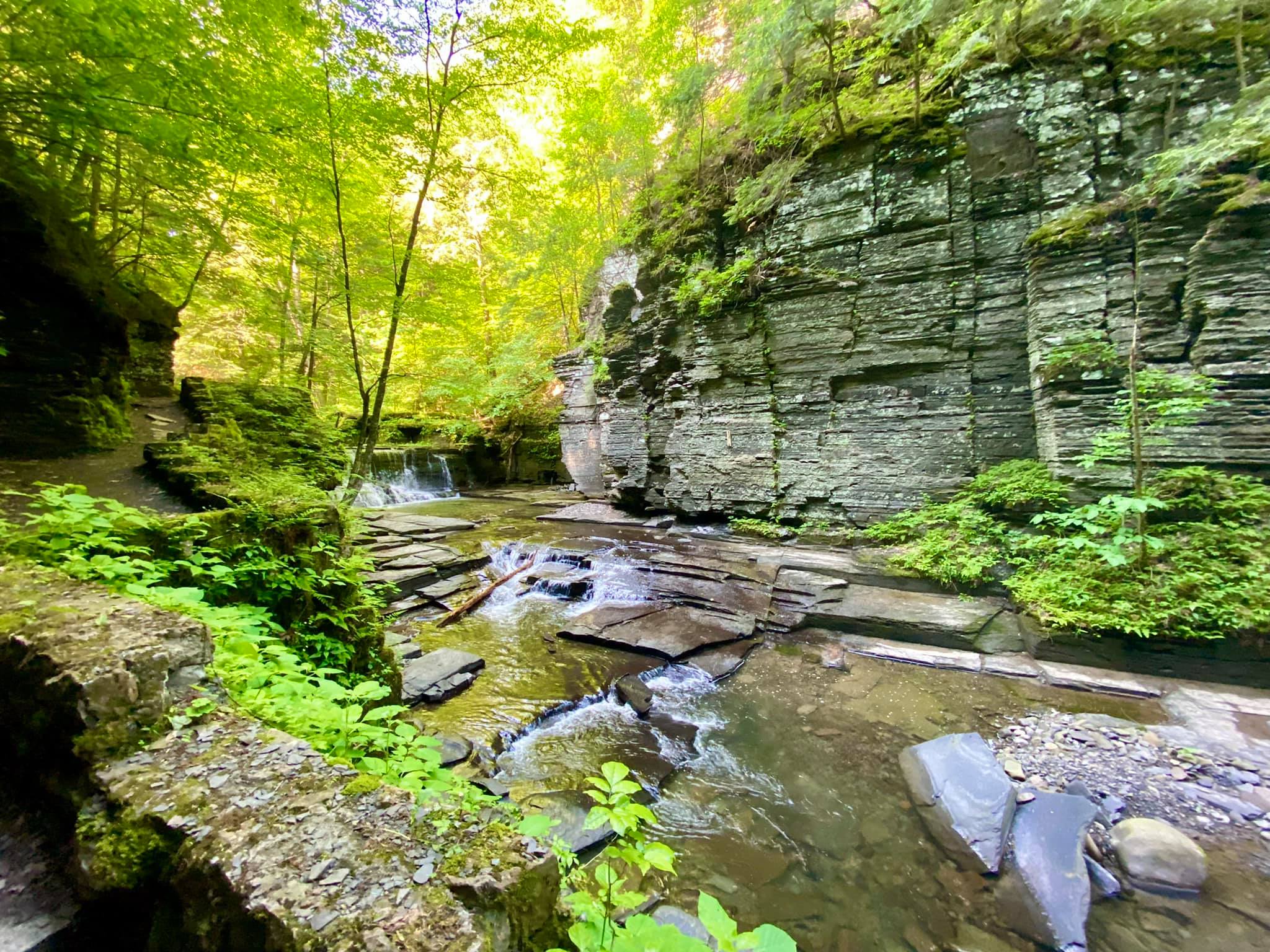 Fillmore Glen Moravia, NY Adventures in New York