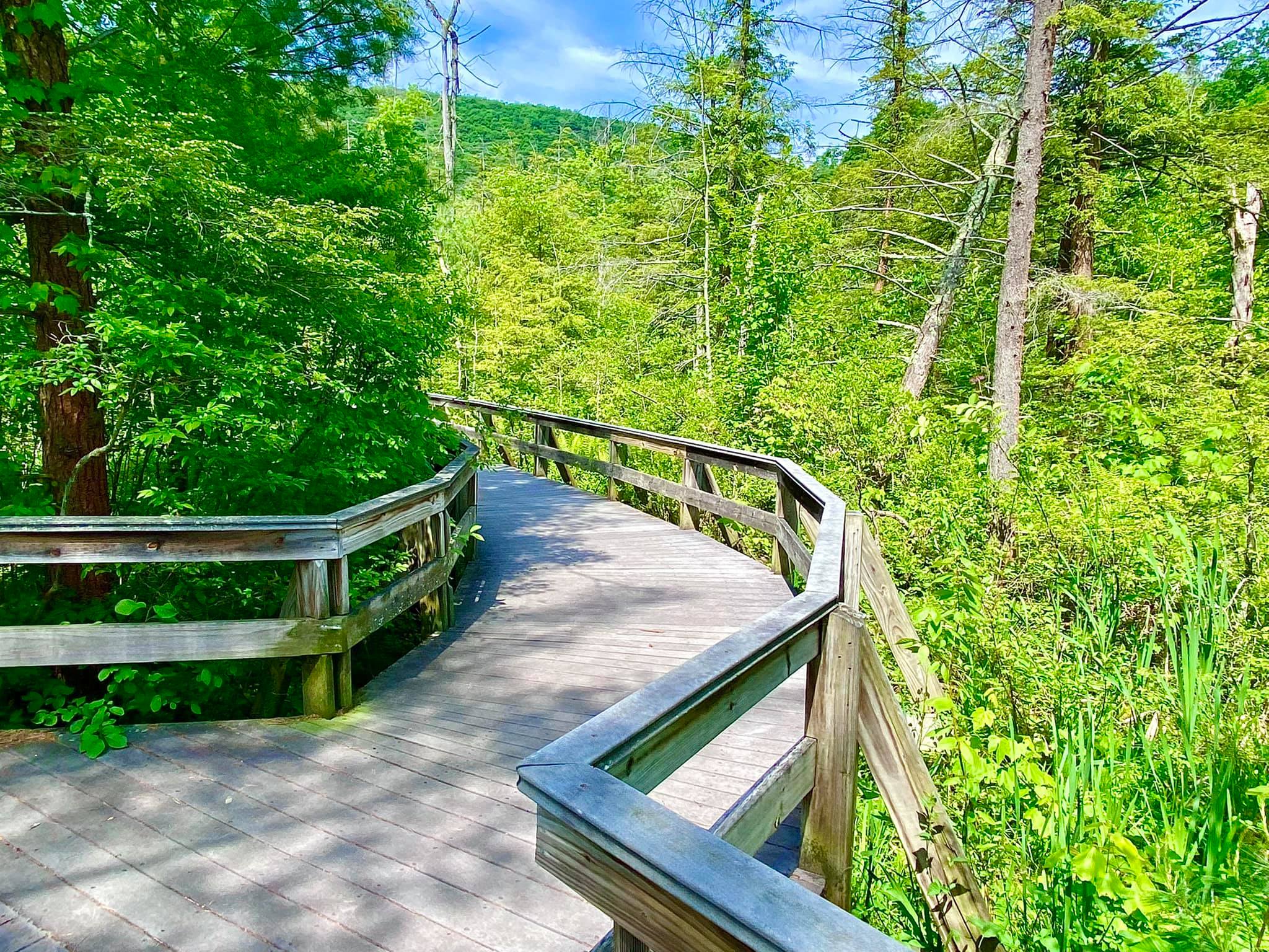 Labrador Hollow Unique Area Tully, NY Adventures in New York