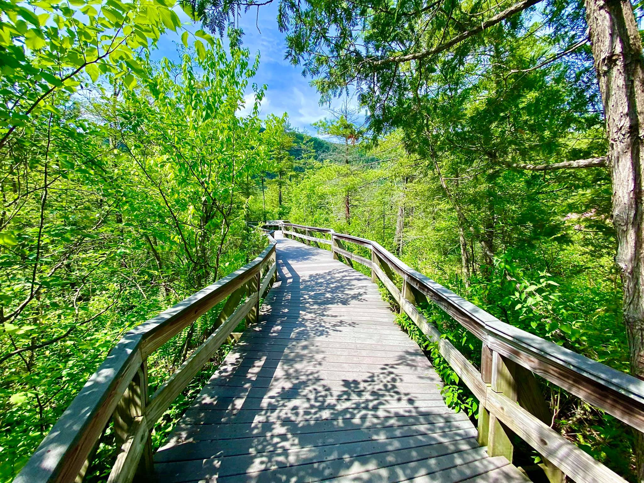 Labrador Hollow Unique Area Tully, NY Adventures in New York