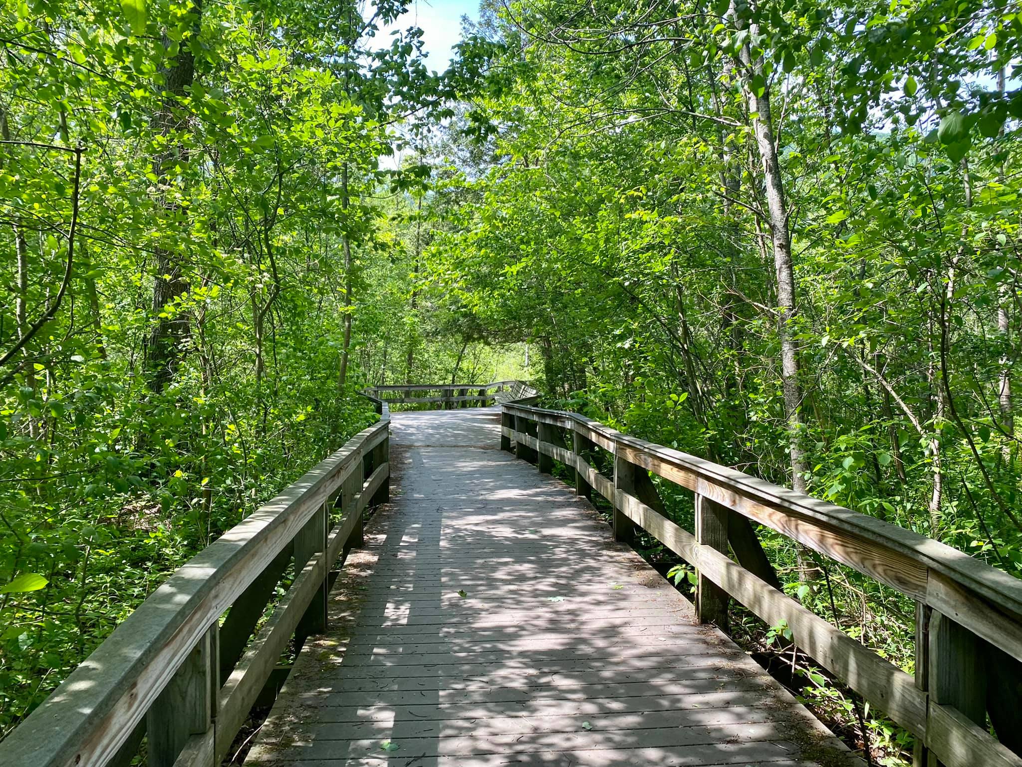 Labrador Hollow Unique Area Tully, NY Adventures in New York