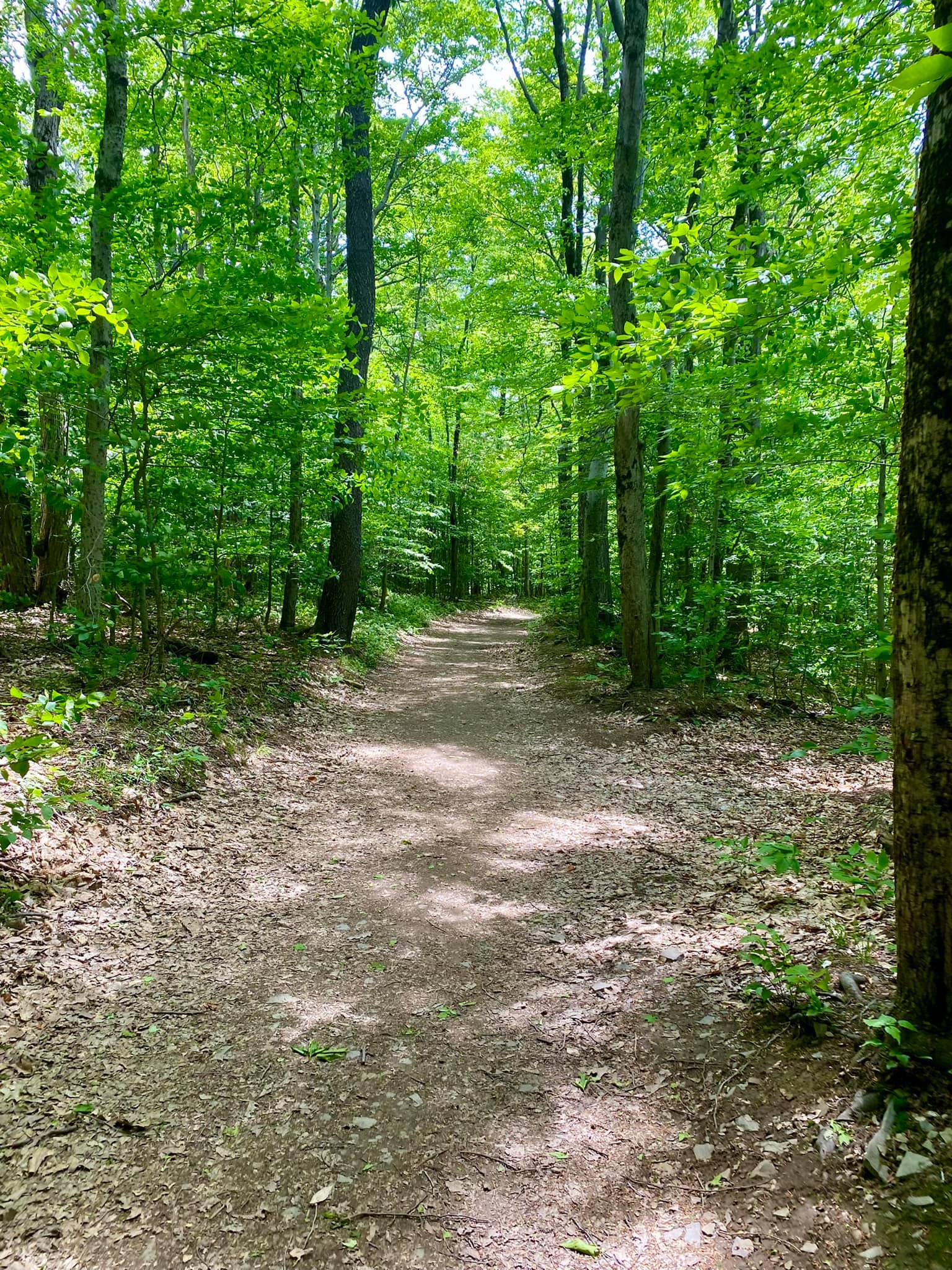 Labrador Hollow Unique Area Tully, NY Adventures in New York