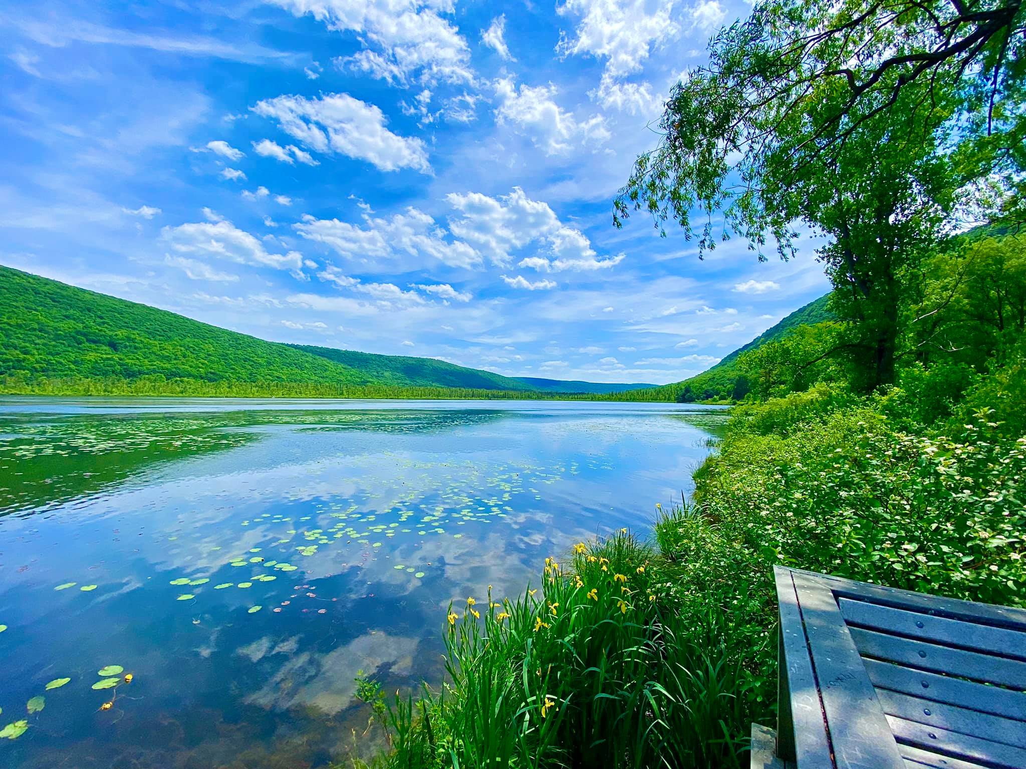 Labrador Hollow Unique Area Tully, NY Adventures in New York