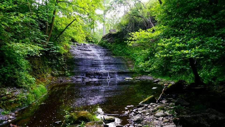 Royalton Ravine Gasport, NY Adventures in New York