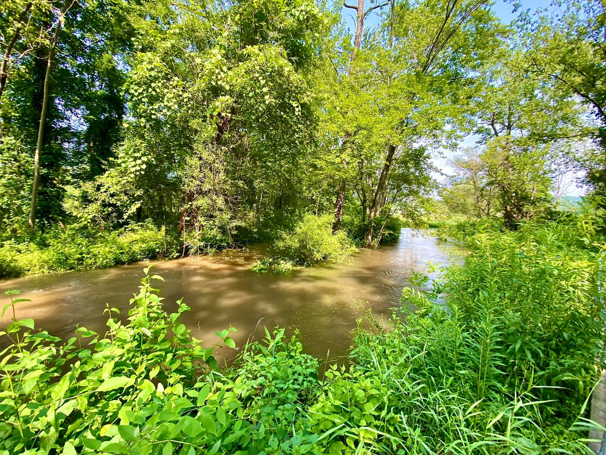 Conesus Lake Inlet Wildlife Management Area Adventures in New York