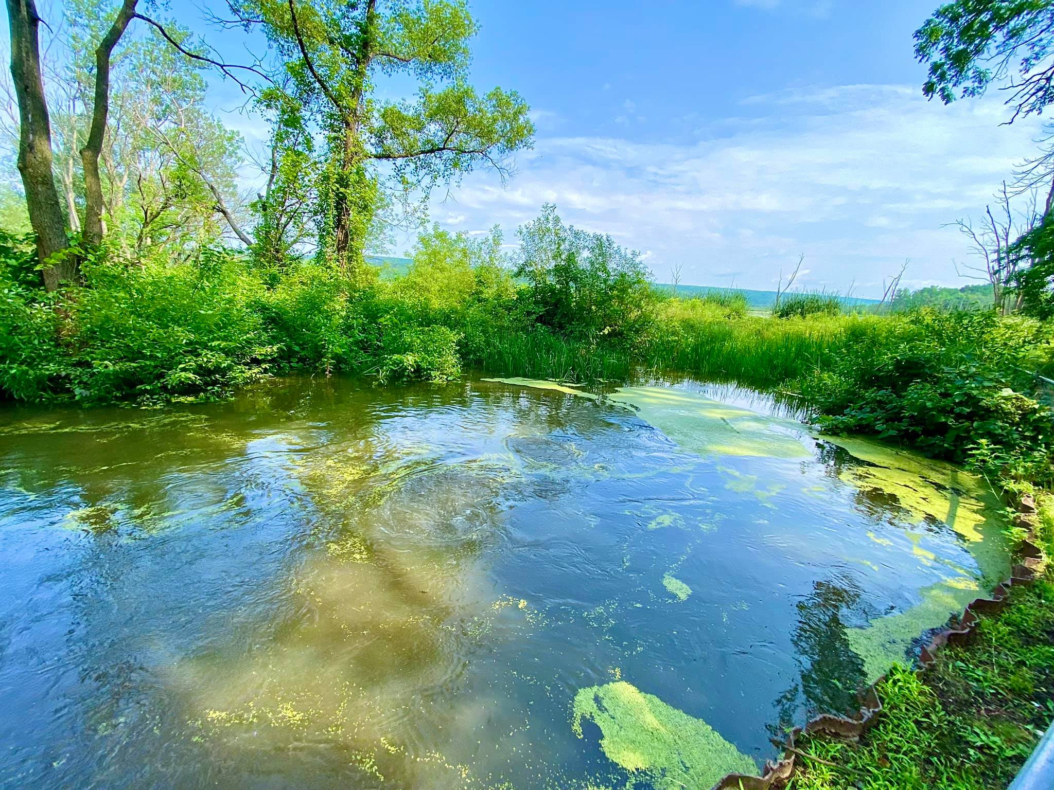 Conesus Lake Inlet Wildlife Management Area Adventures in New York