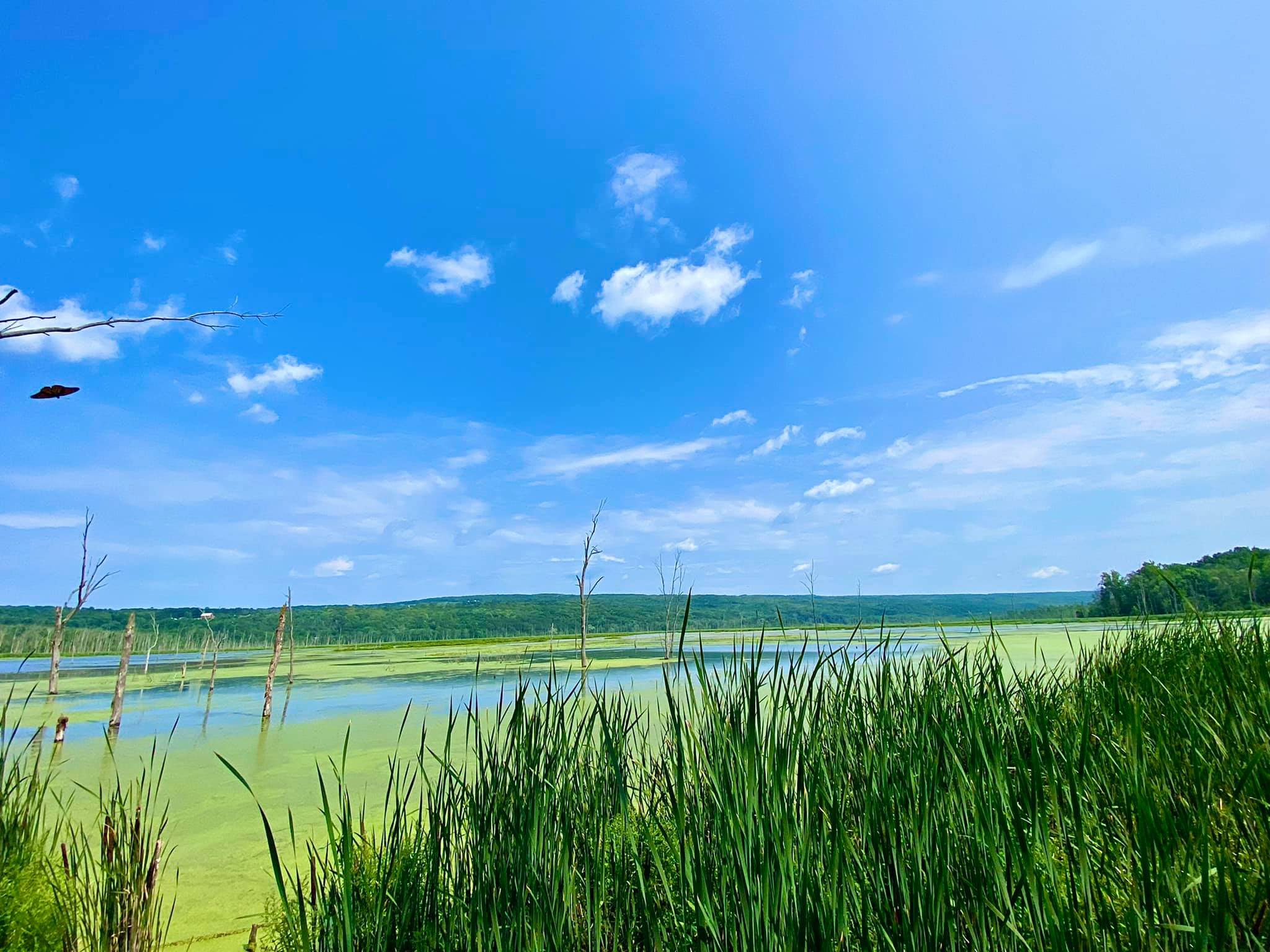 Conesus Lake Inlet Wildlife Management Area Adventures in New York