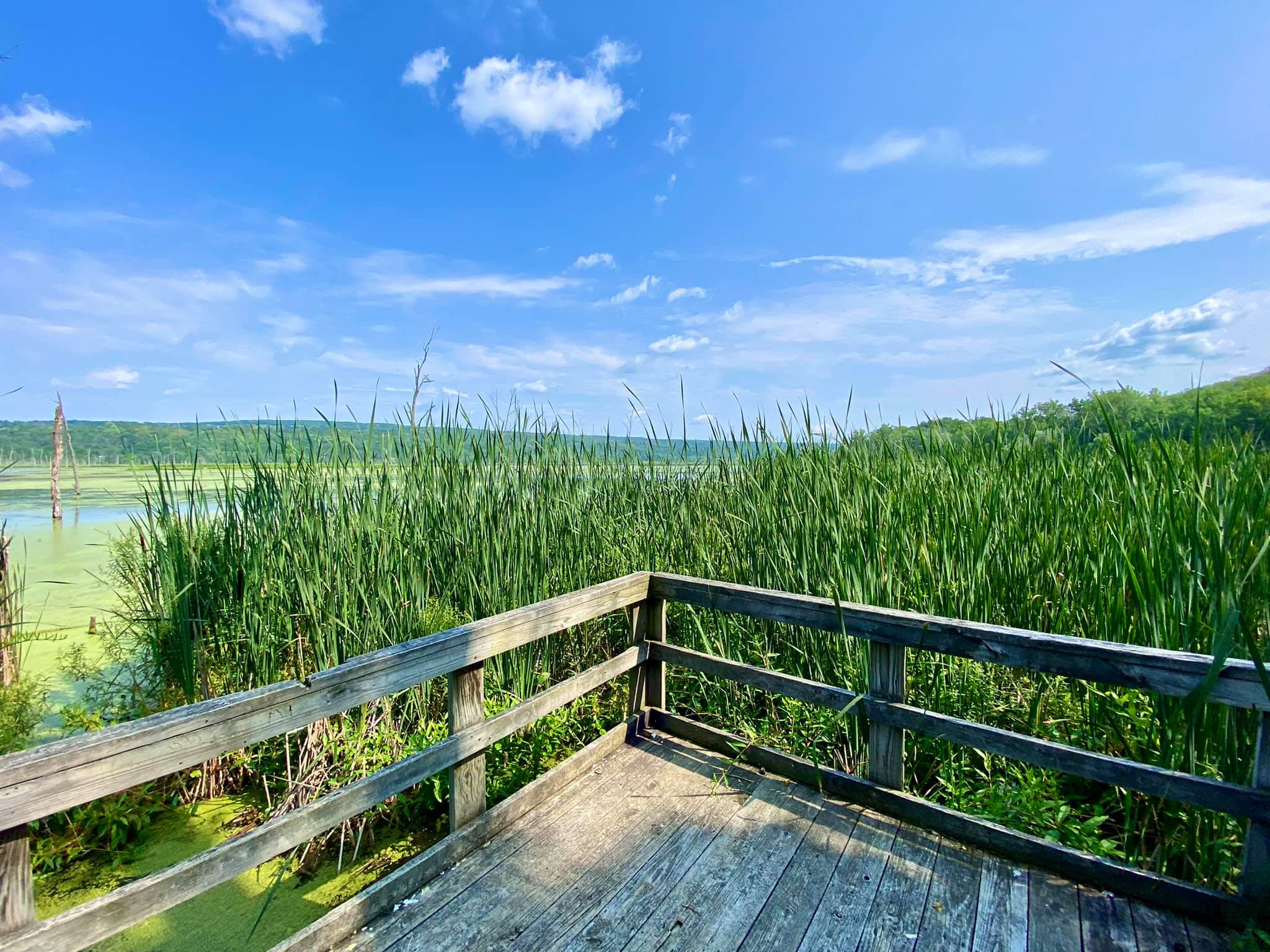 Conesus Lake Inlet Wildlife Management Area Adventures in New York