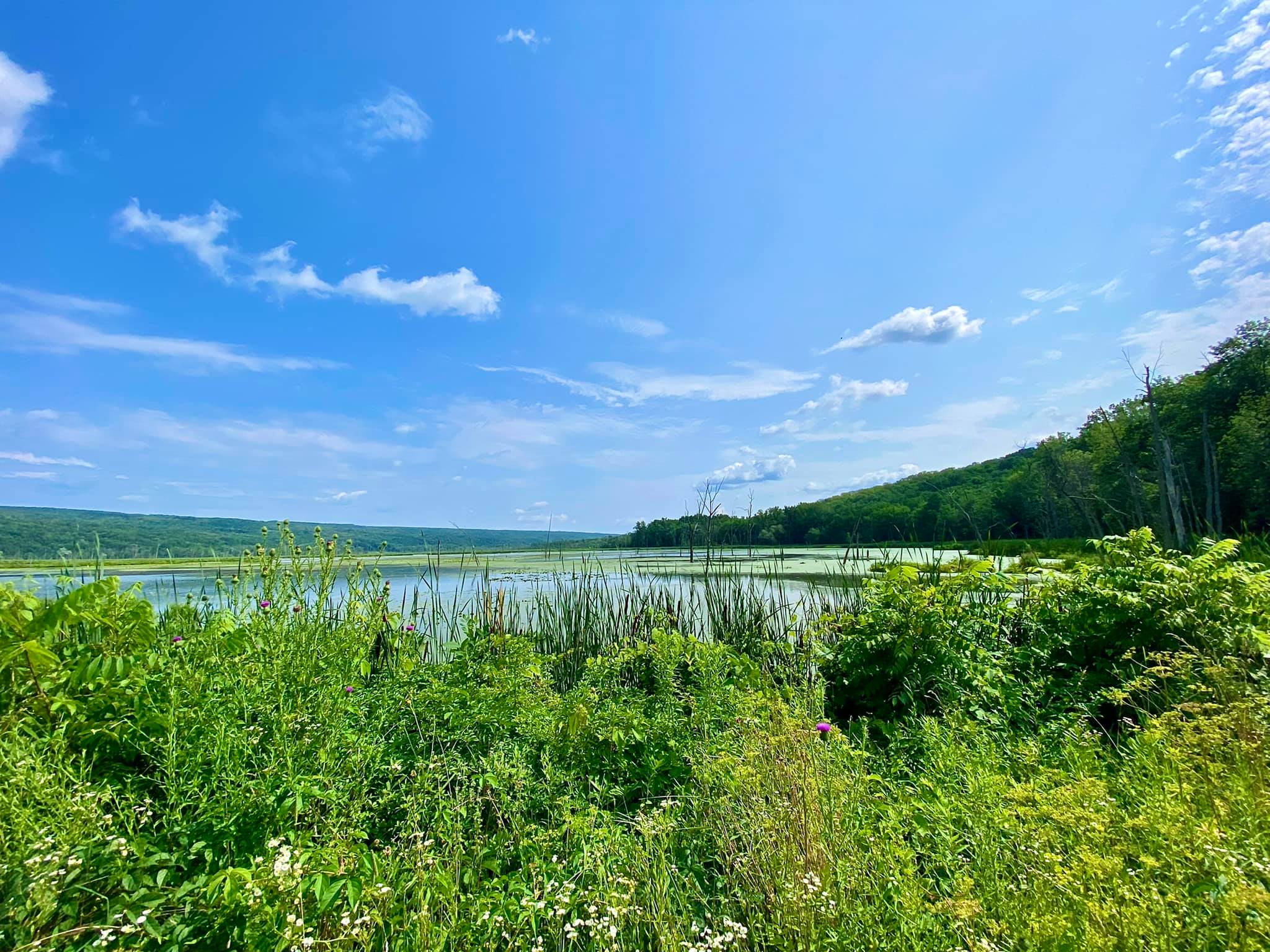 Conesus Lake Inlet Wildlife Management Area Adventures in New York