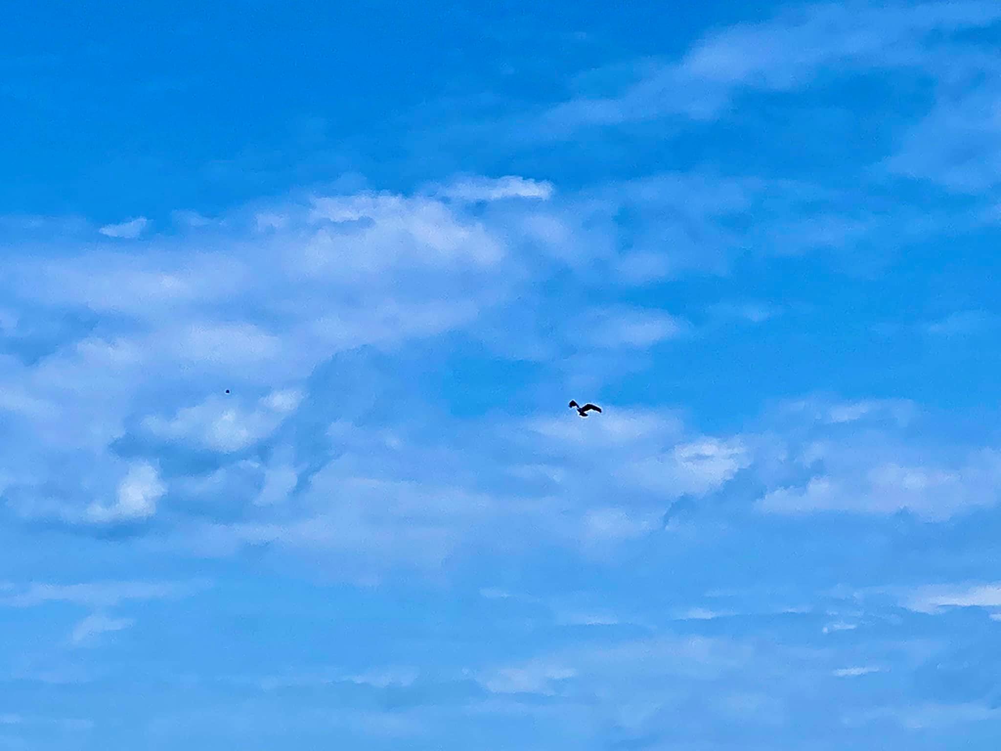 Conesus Lake Inlet Wildlife Management Area Adventures in New York