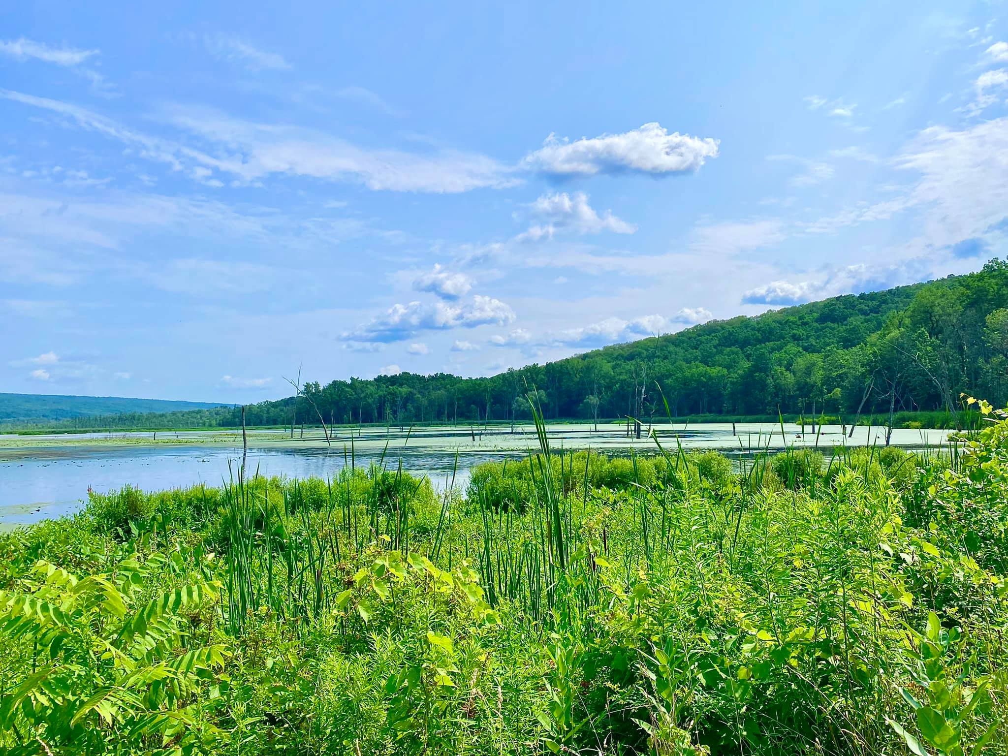 Conesus Lake Inlet Wildlife Management Area Adventures in New York