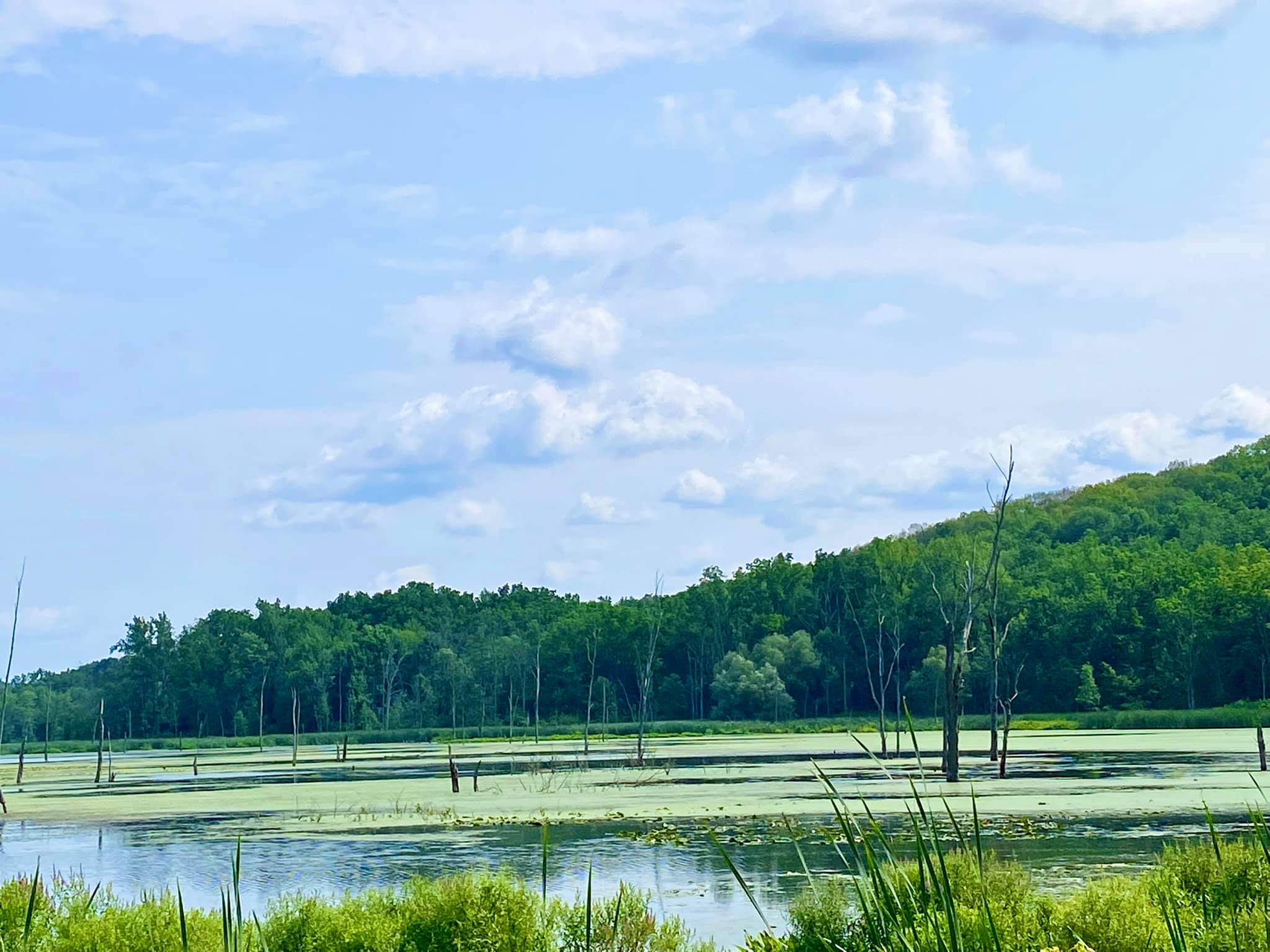 Conesus Lake Inlet Wildlife Management Area Adventures in New York