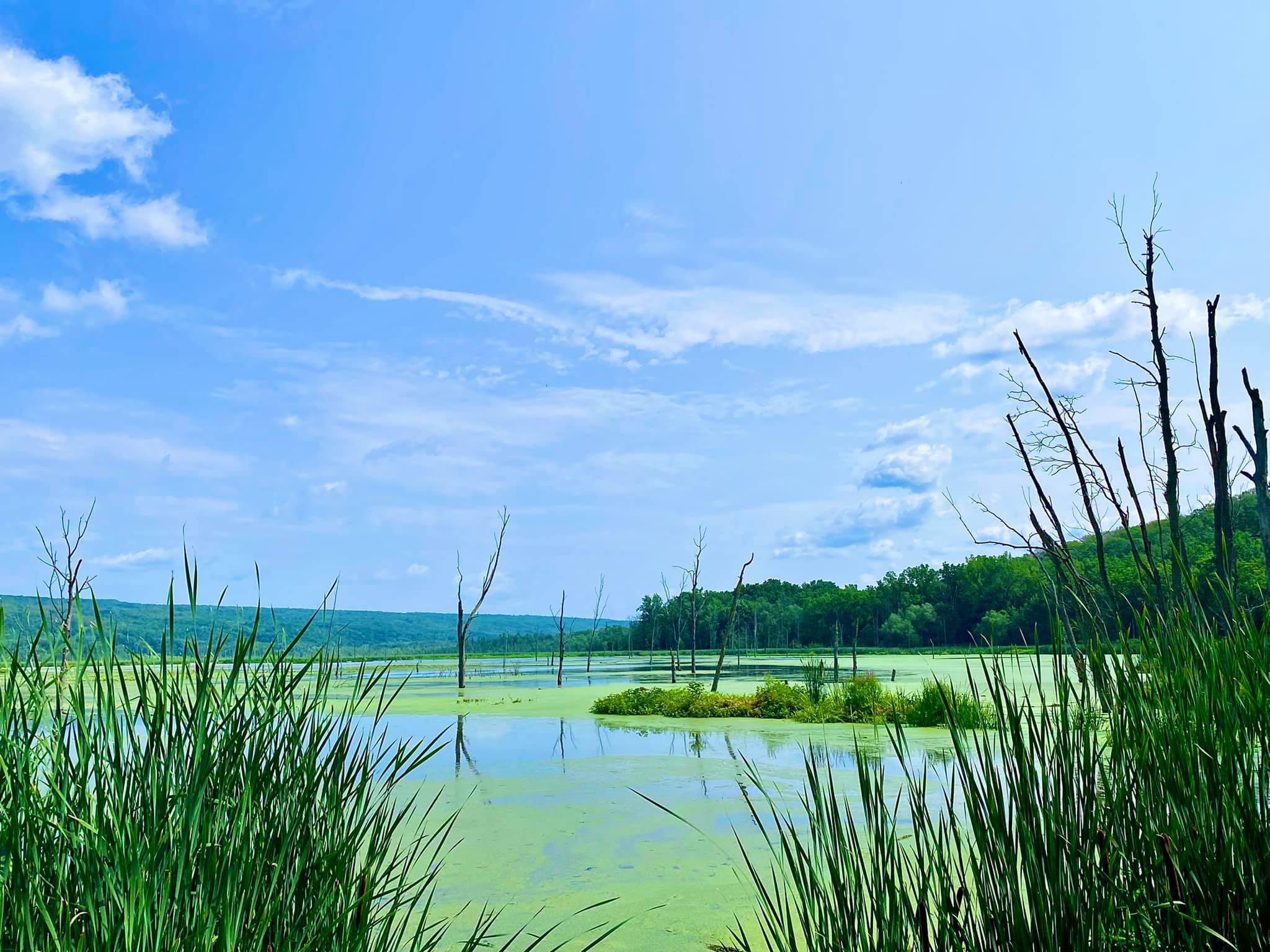 Conesus Lake Inlet Wildlife Management Area Adventures in New York