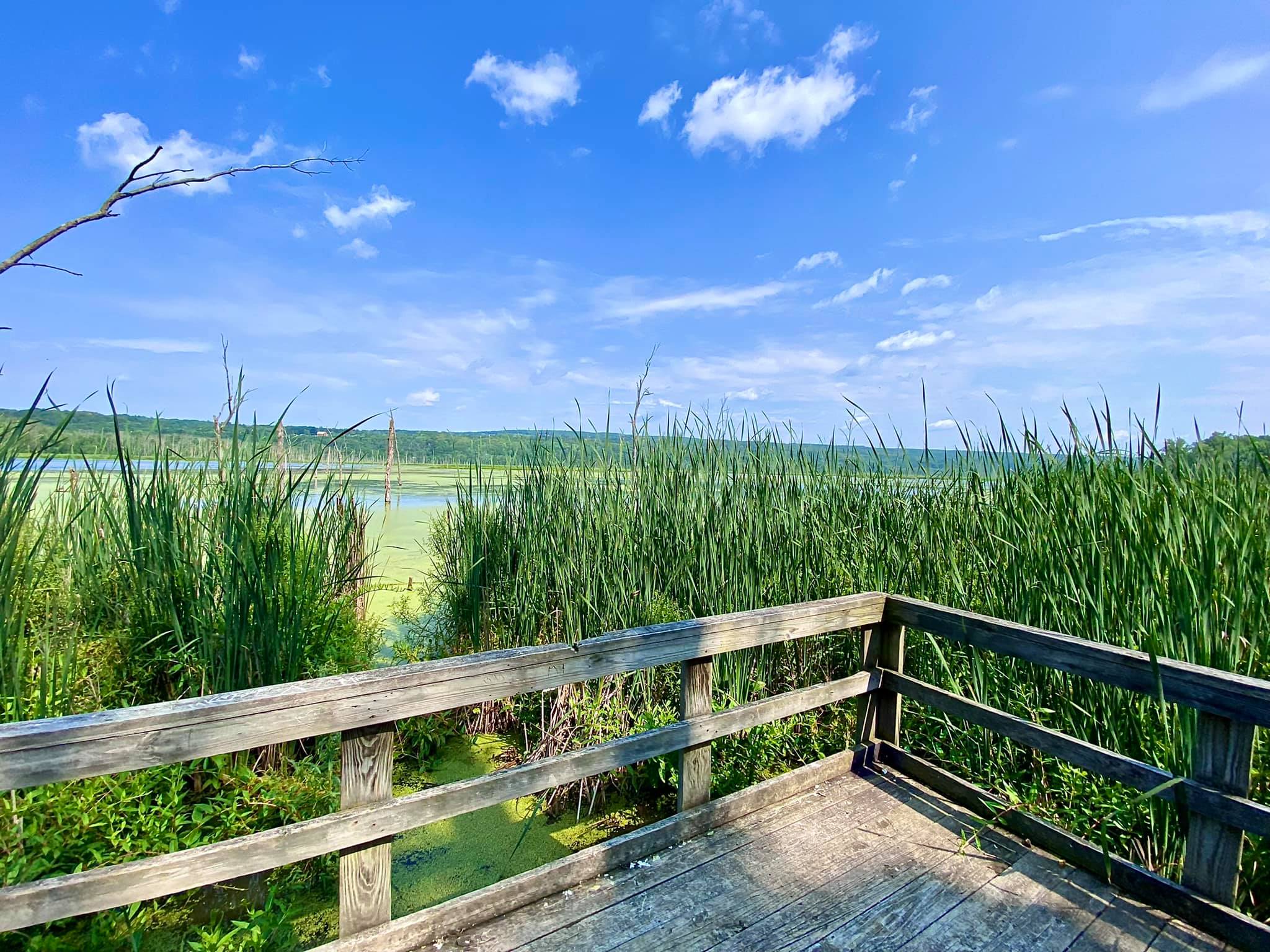 Conesus Lake Inlet Wildlife Management Area Adventures in New York