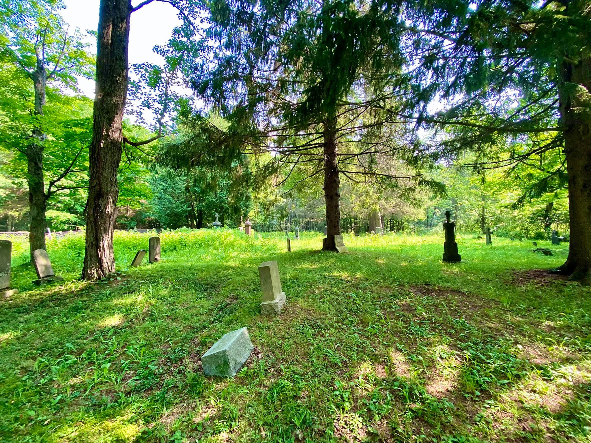 Cemetery Hidden in Jersey Hill State Forest Birdsall, NY Adventures in New York