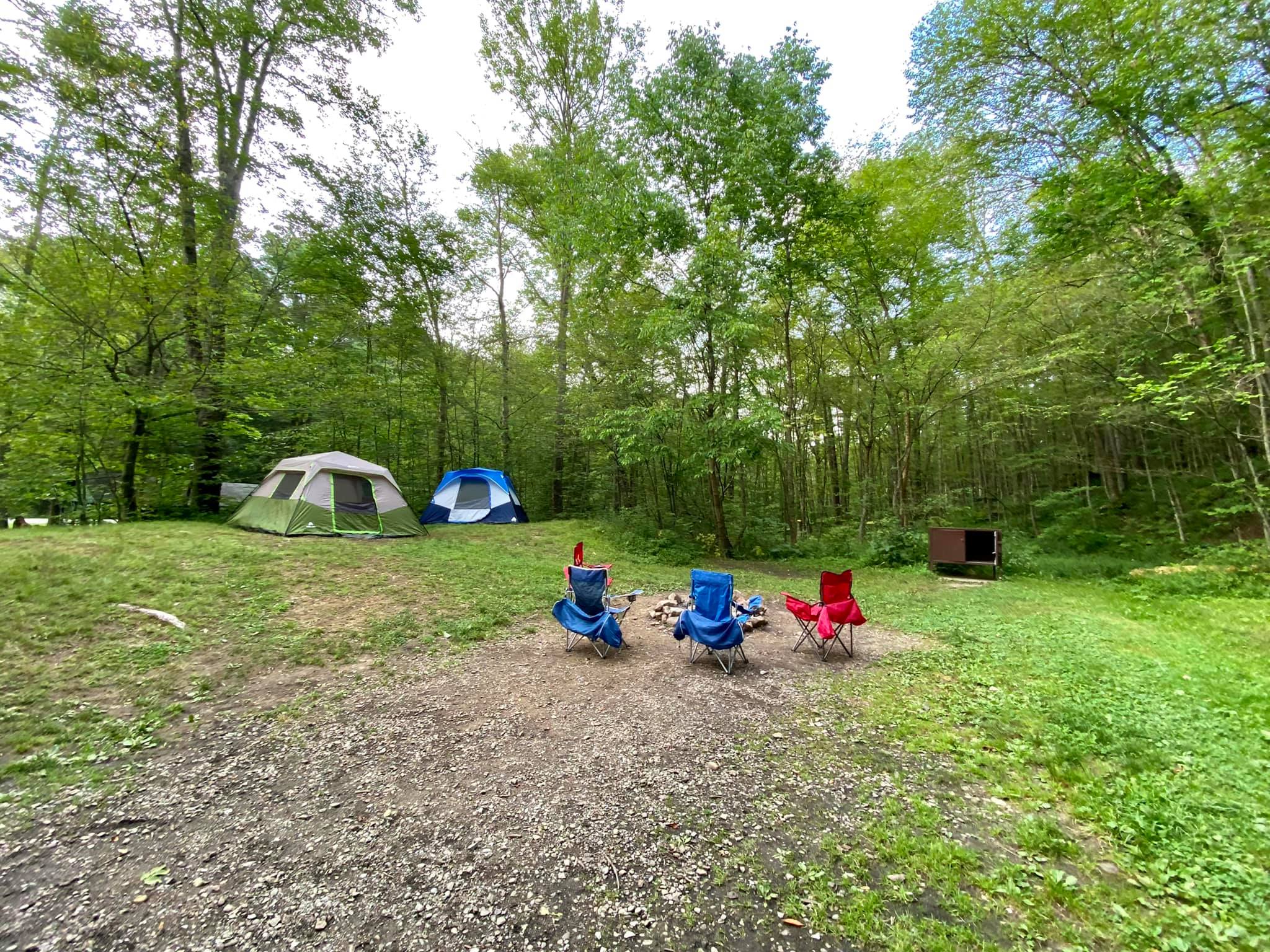Allegany State Park Campgrounds & Cabins Adventures in New York