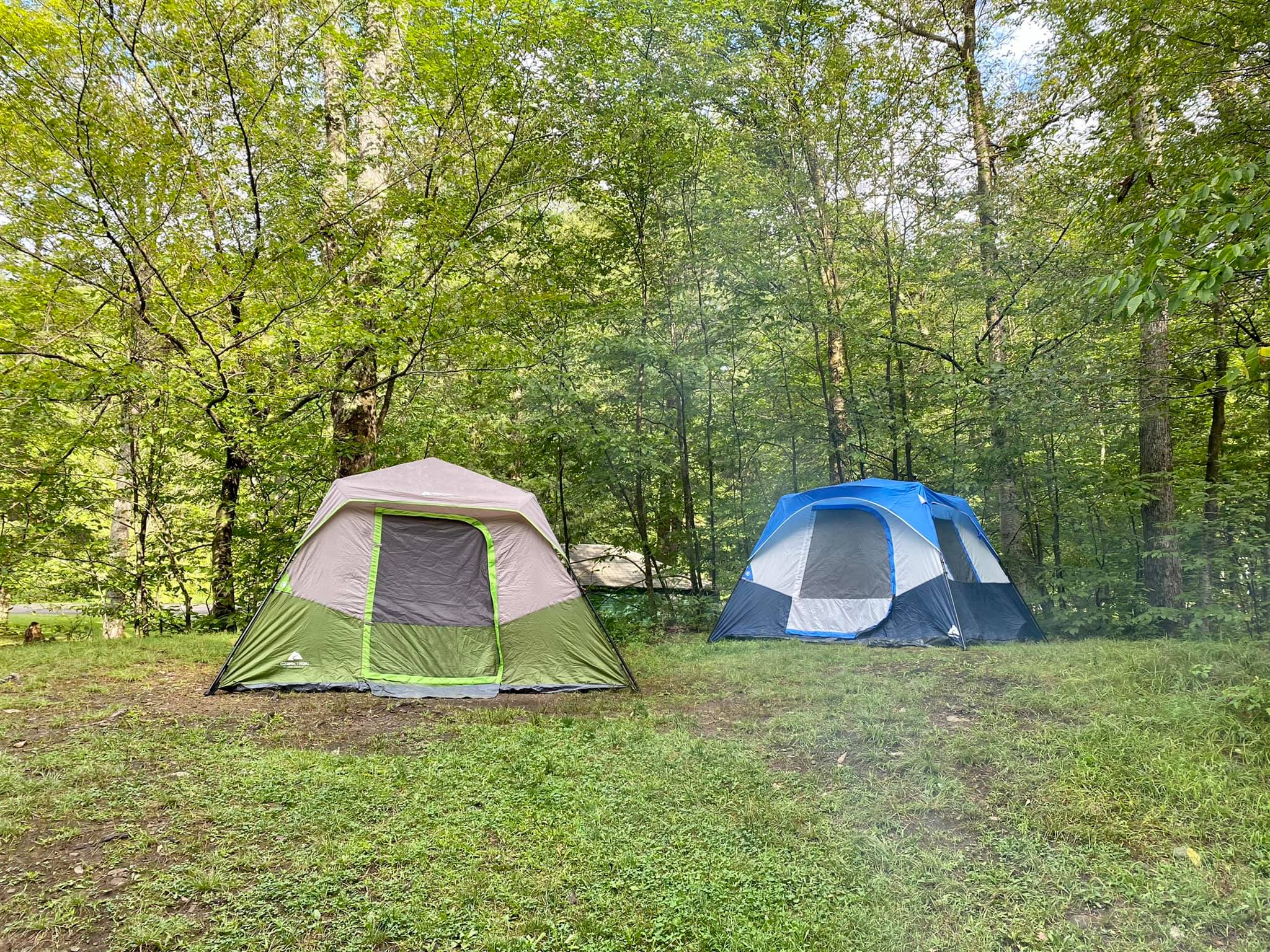 Allegany State Park Campgrounds & Cabins Adventures in New York