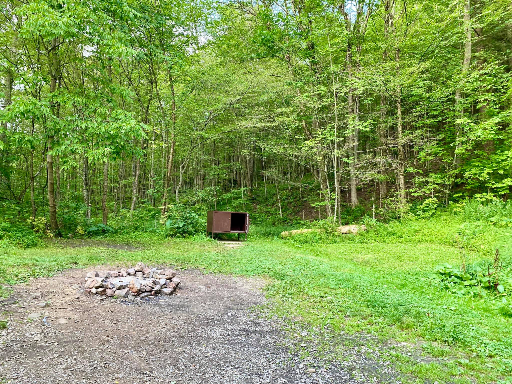 Allegany State Park Campgrounds & Cabins Adventures in New York