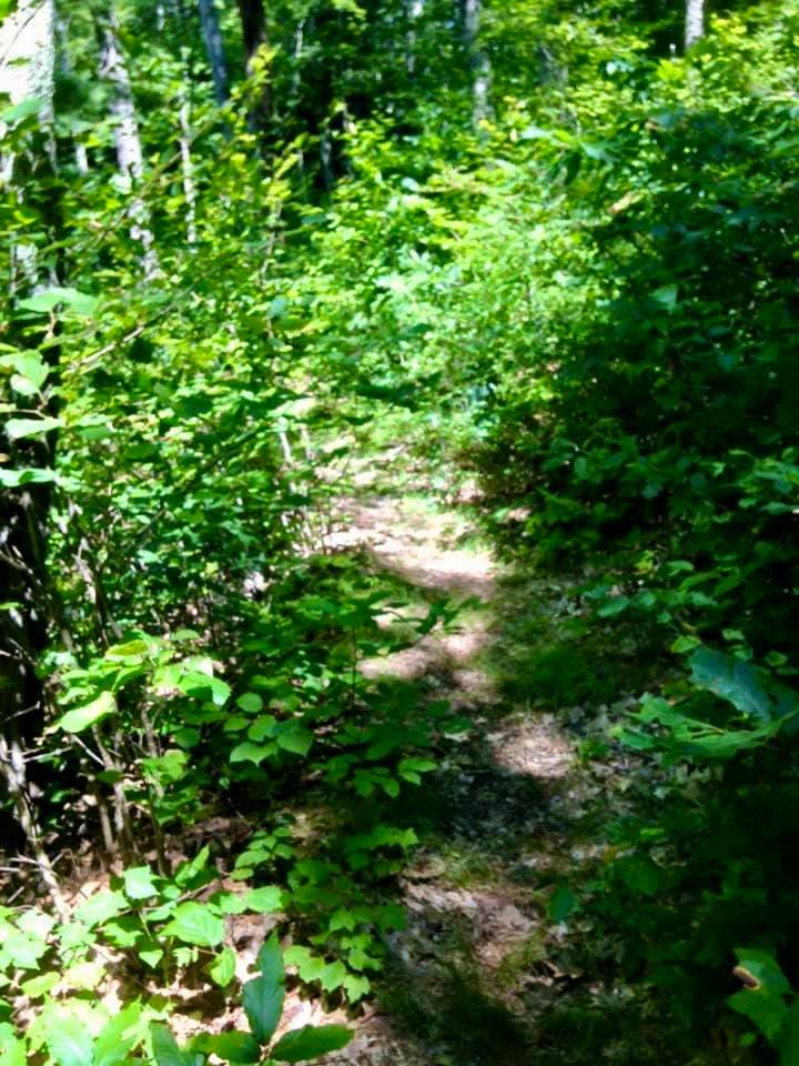 Chenango Valley State ParkChenango Forks, NY Adventures in New York