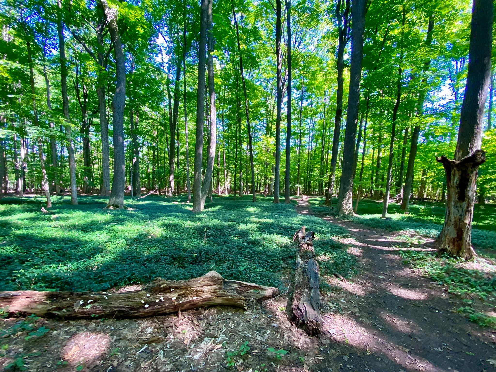 Harris Whalen Park Nature Trail Penfield, NY Adventures in New York