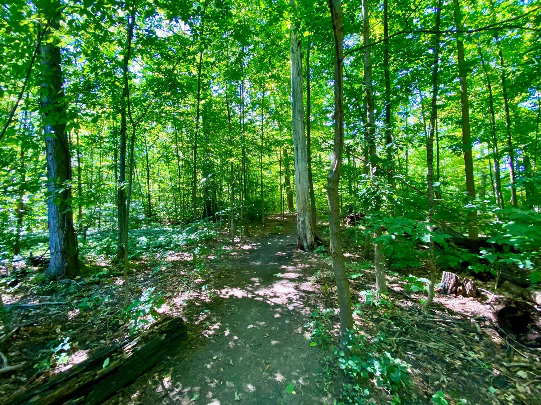 Harris Whalen Park Nature Trail Penfield, NY Adventures in New York